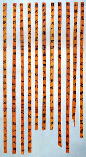 Bamboo