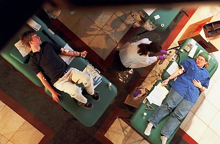 Sean MacLeod and Aara