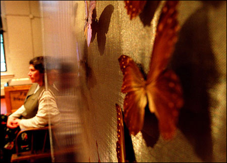 Cynthia Abbott, butterfly exhibit