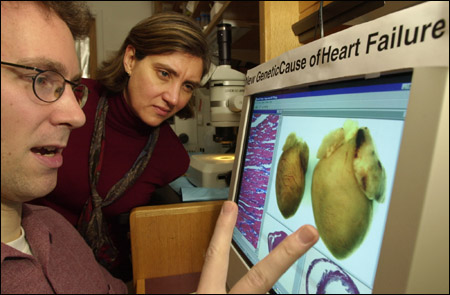 Christine Seidman and Jonathan