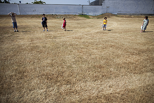 Field work