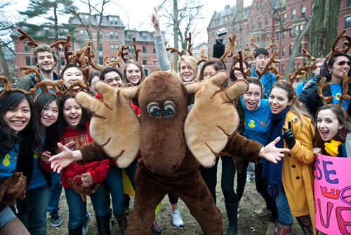 Moose crew