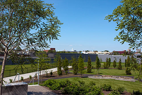 A view of green and blue