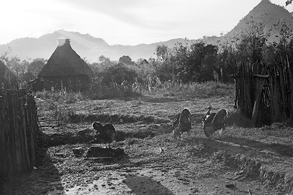 A view from Domingo de la Torre’s house, 1961.