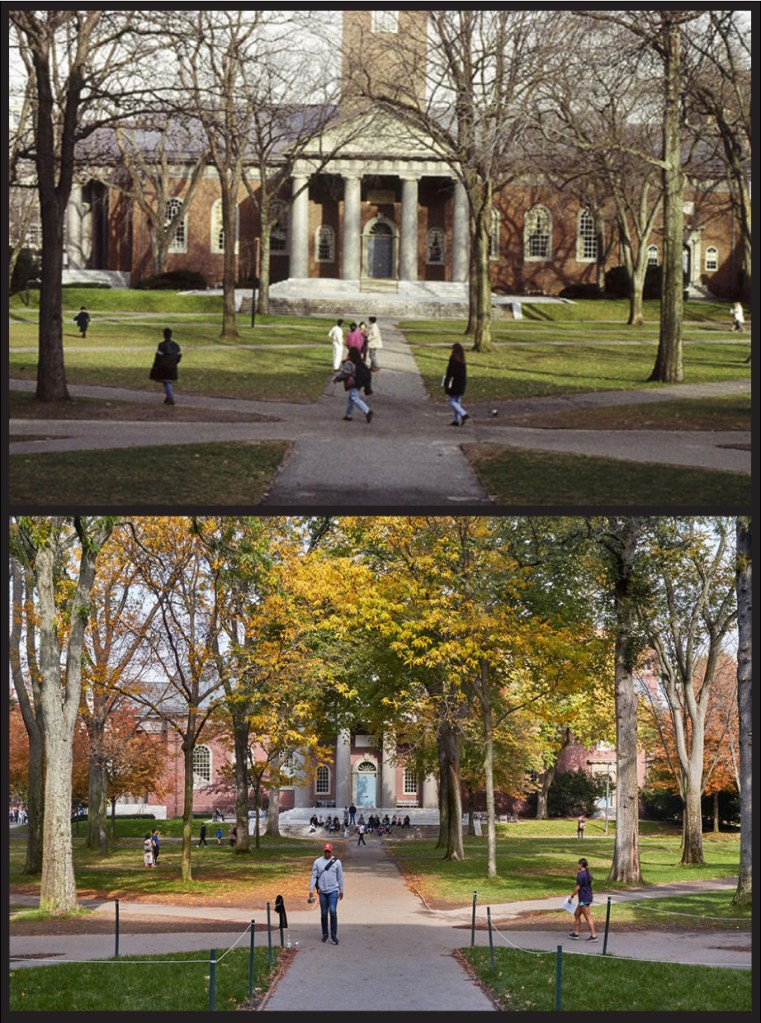 Memorial Church, 1990s vs. 2017
