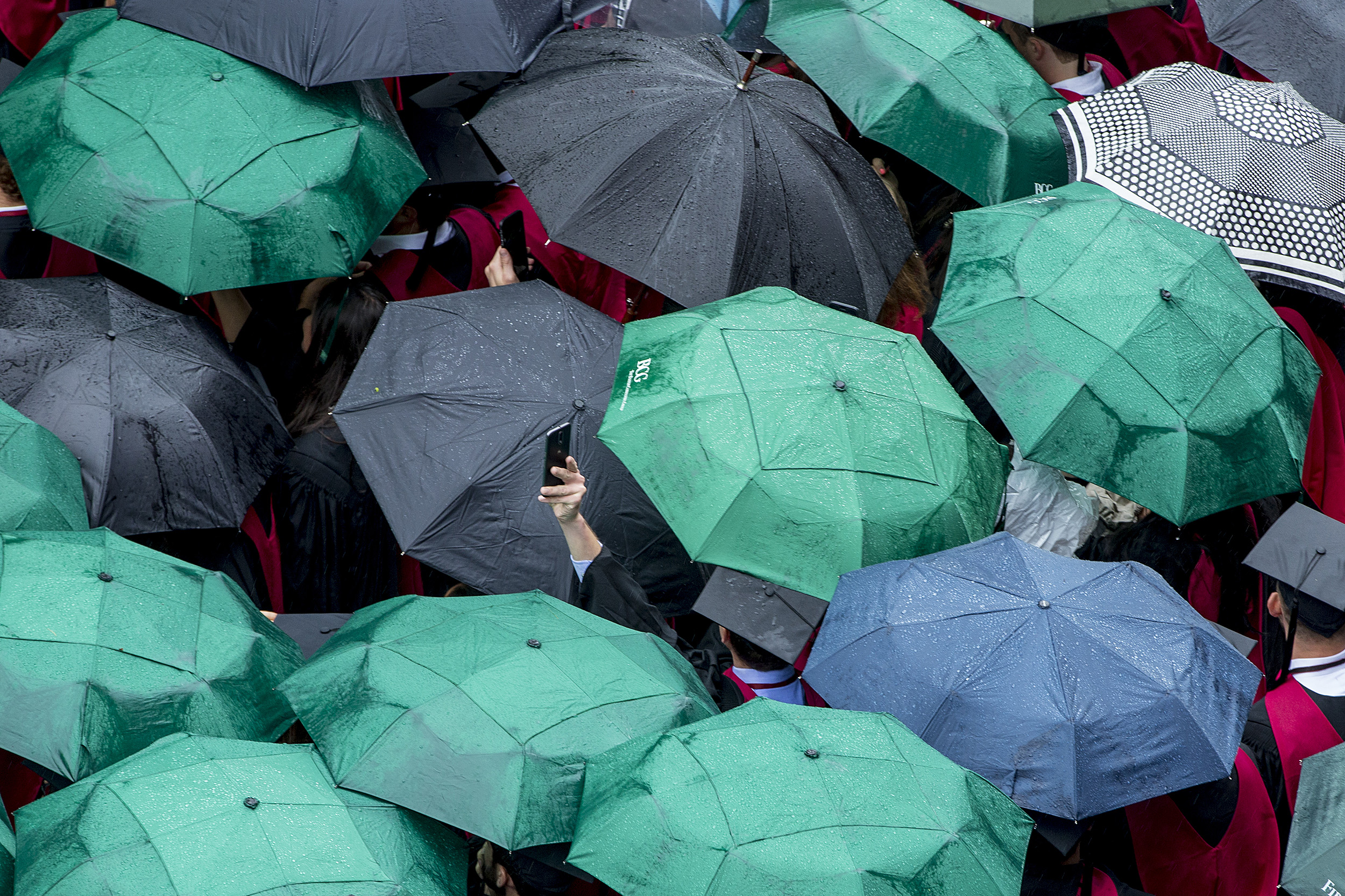 A Harvard graduate raises his phone to snap a picture above the umbrellas.