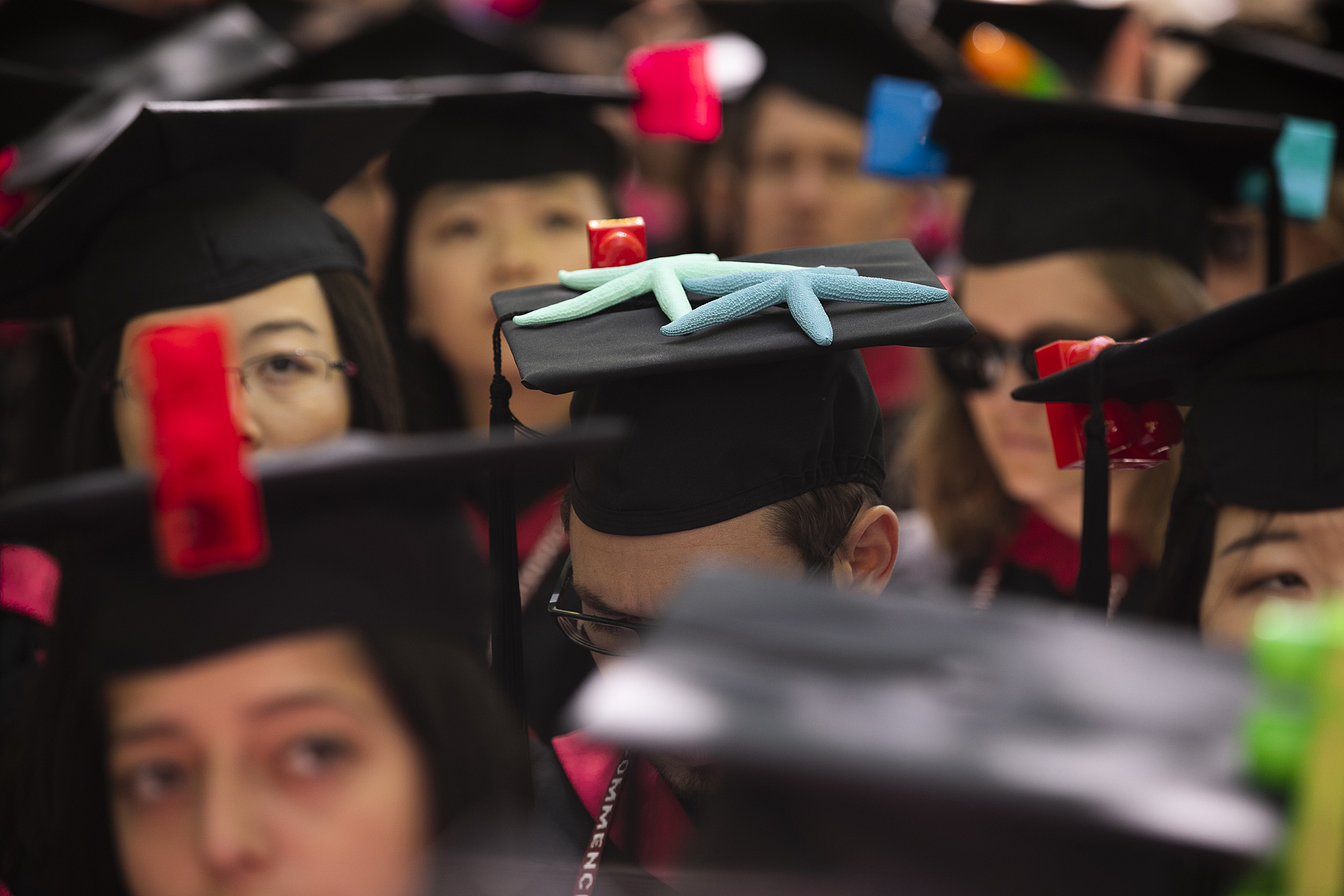 Creative mortarboard.