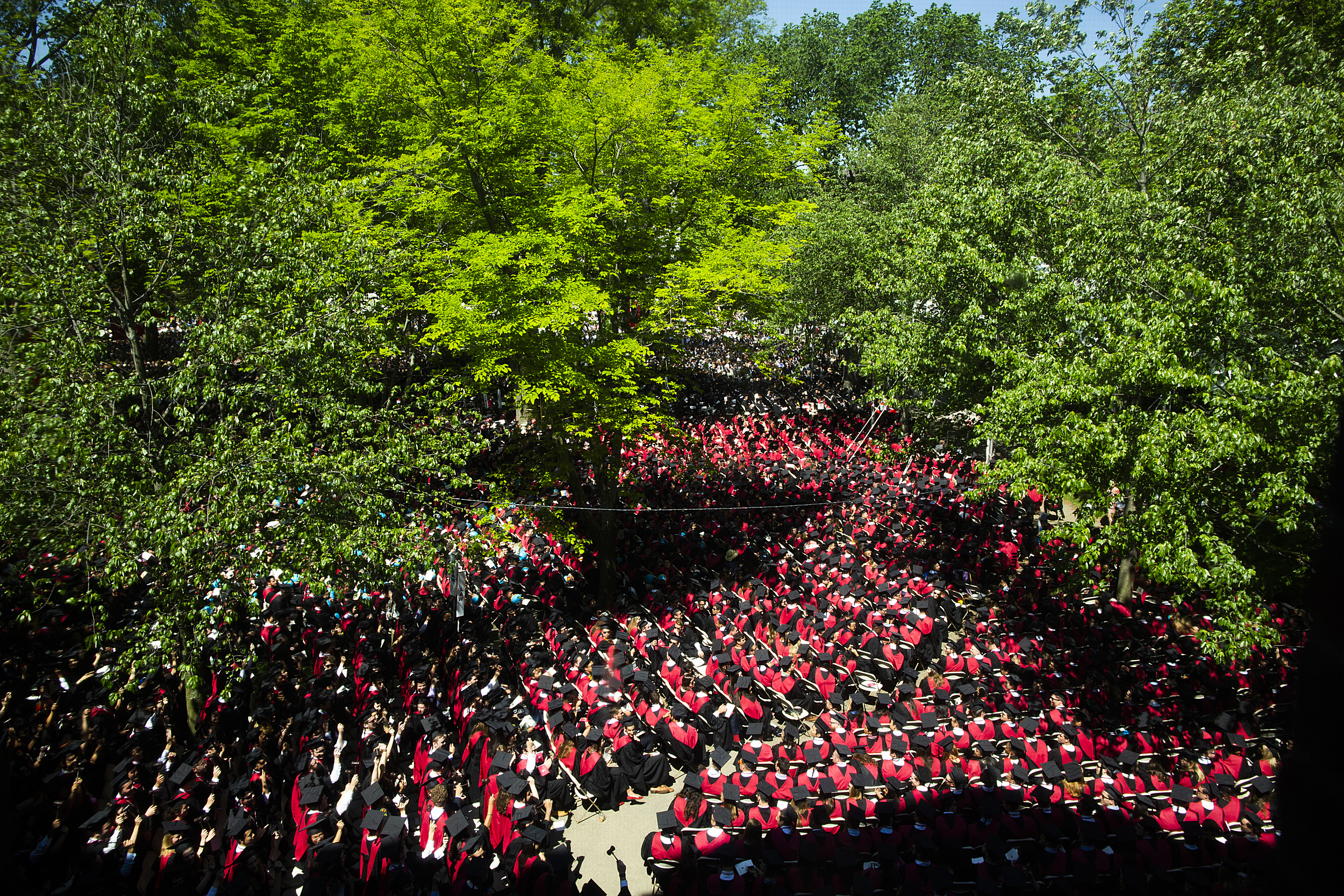 Sea of graduates in Harvard Yard.