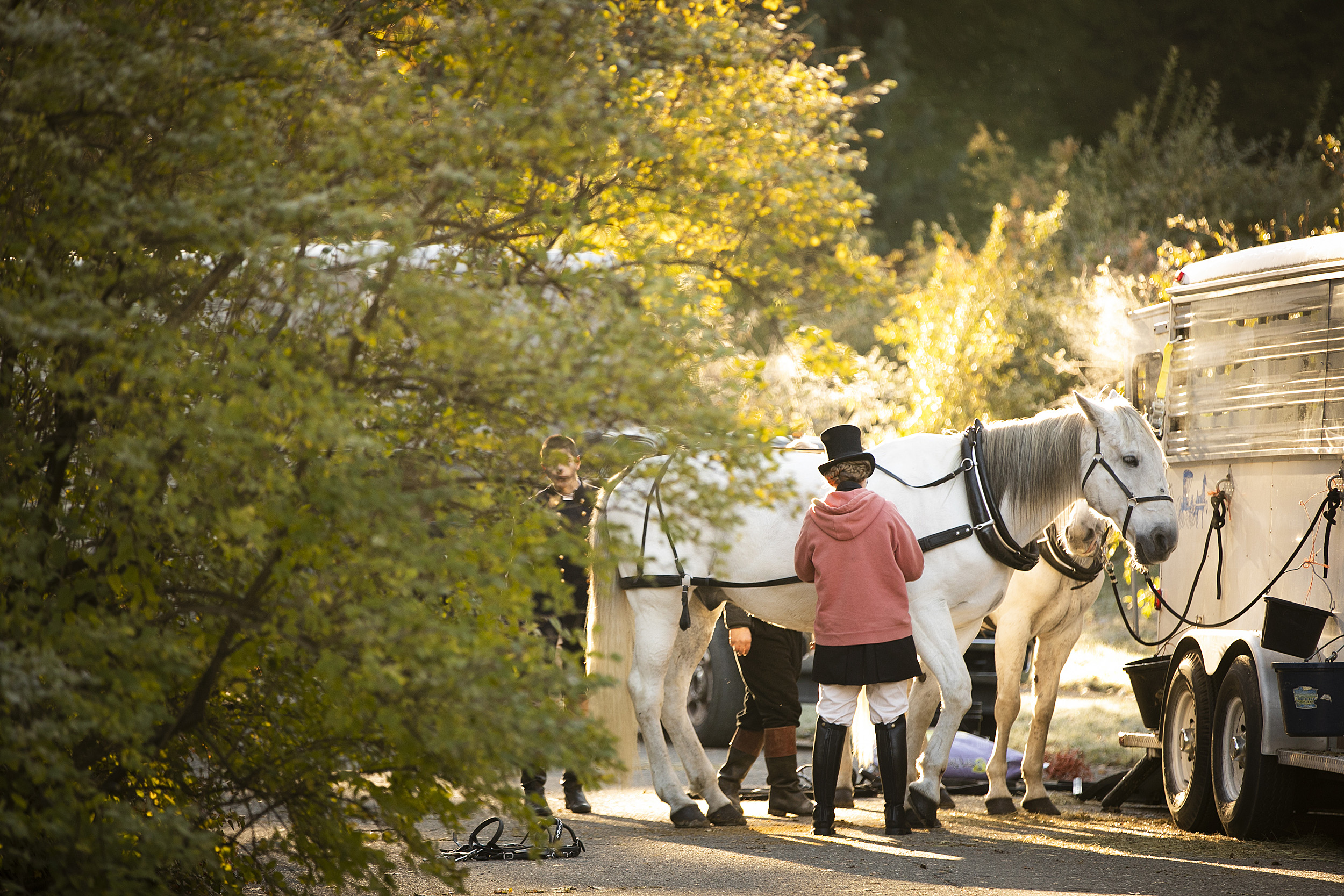 Horses on the set of 'Little Women.'