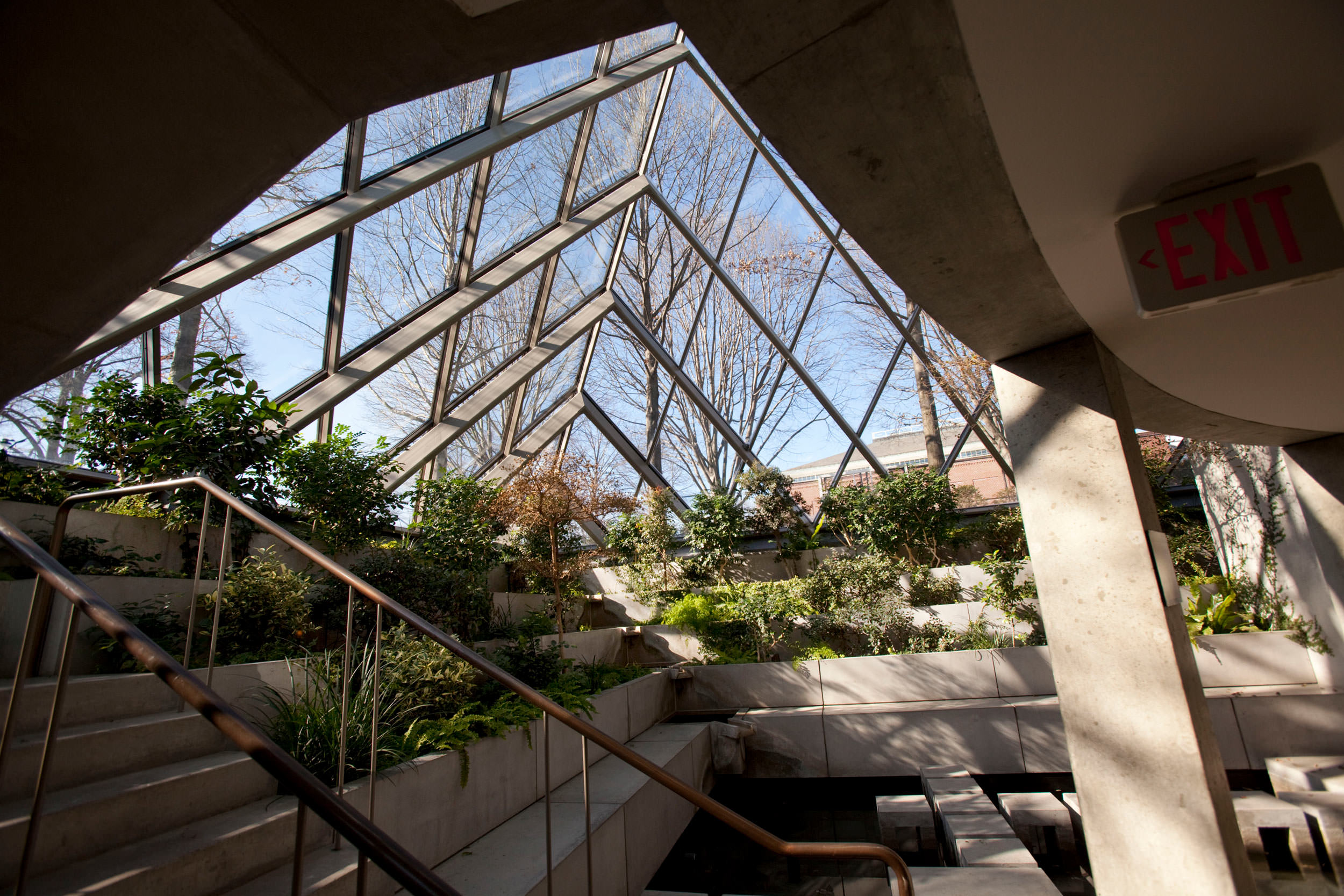 A view of the plants and water feature inside the chapel