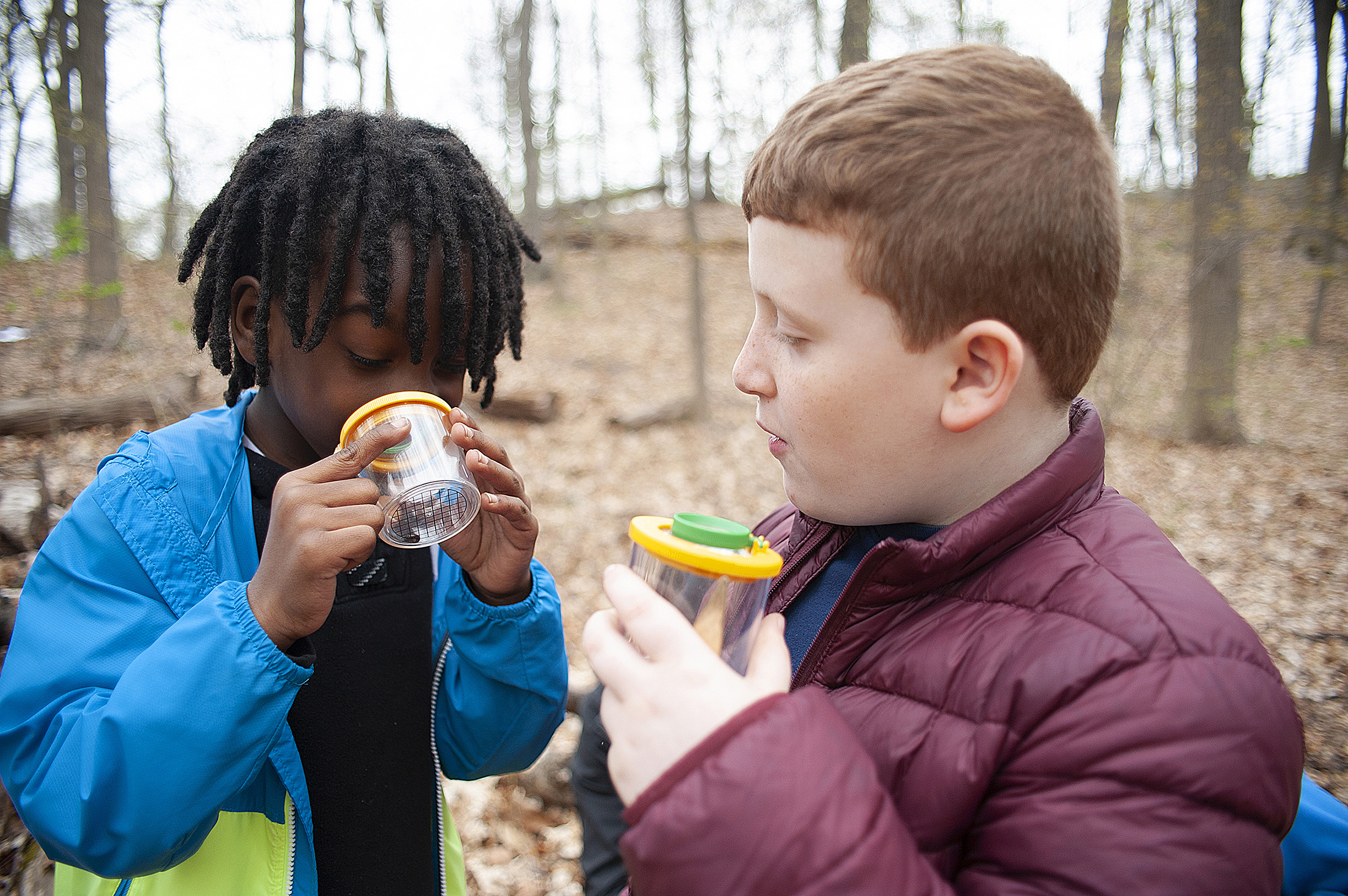 two little boys look at bugs through magnifying glasses