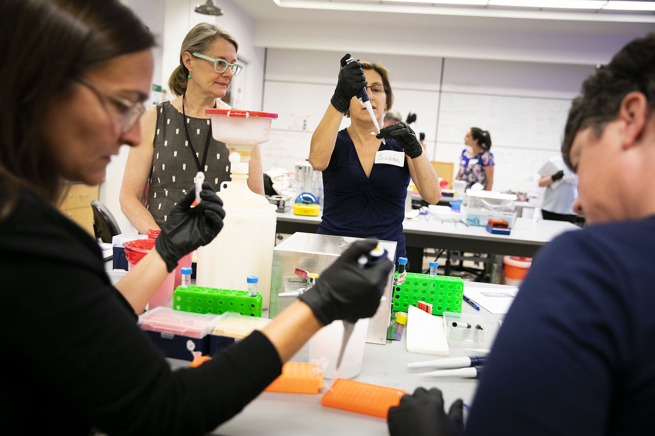 teachers participating in a workshop