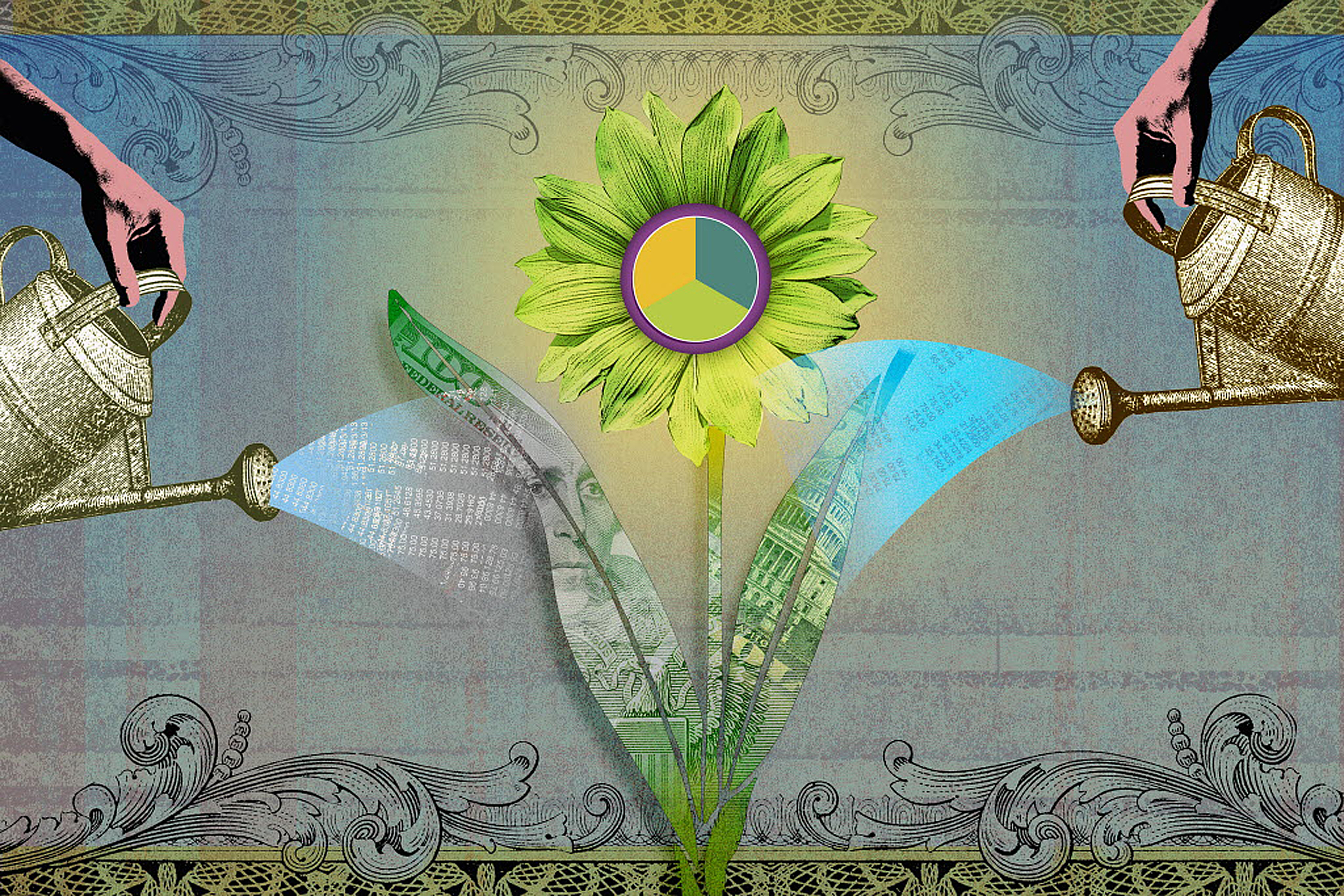 Illustration of financial flower being watered