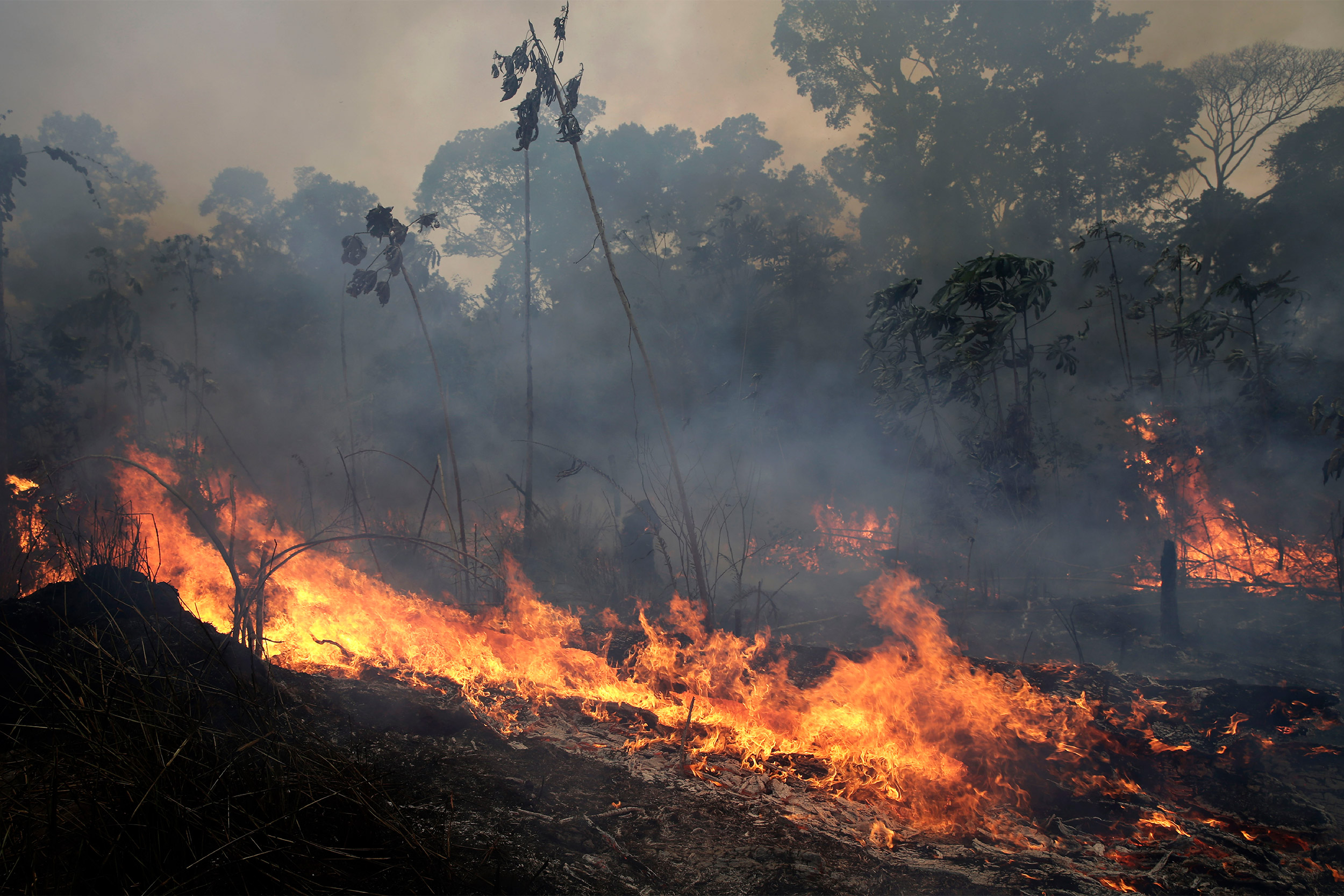 Fire in the Amazon