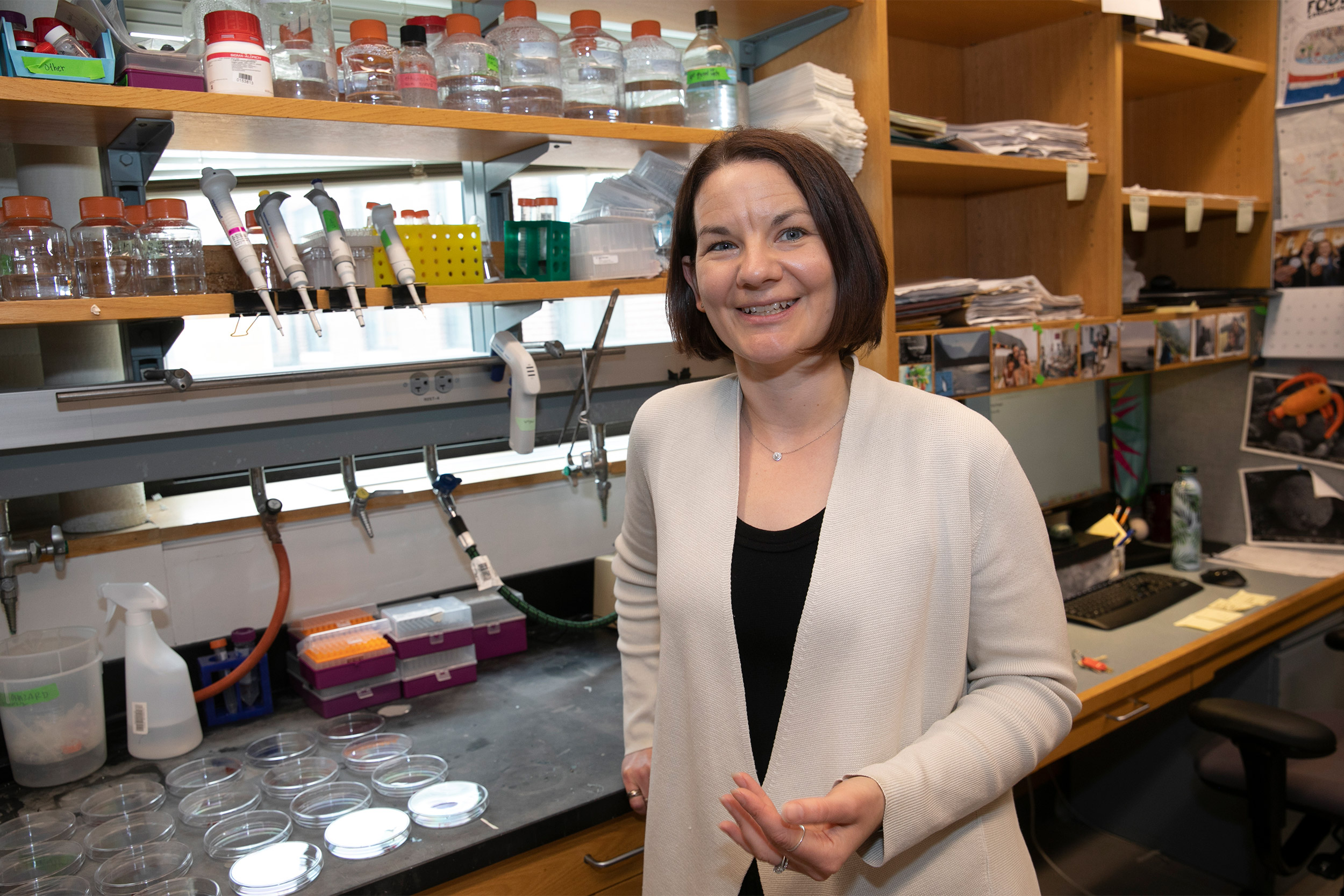 Emily Balskus in her lab.