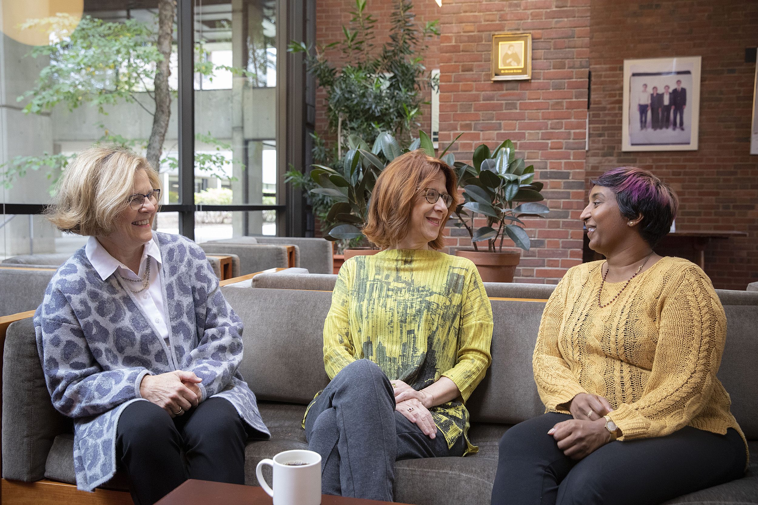 Barbara Lewis, Catherine Shapiro, and Sindhu Revuluri