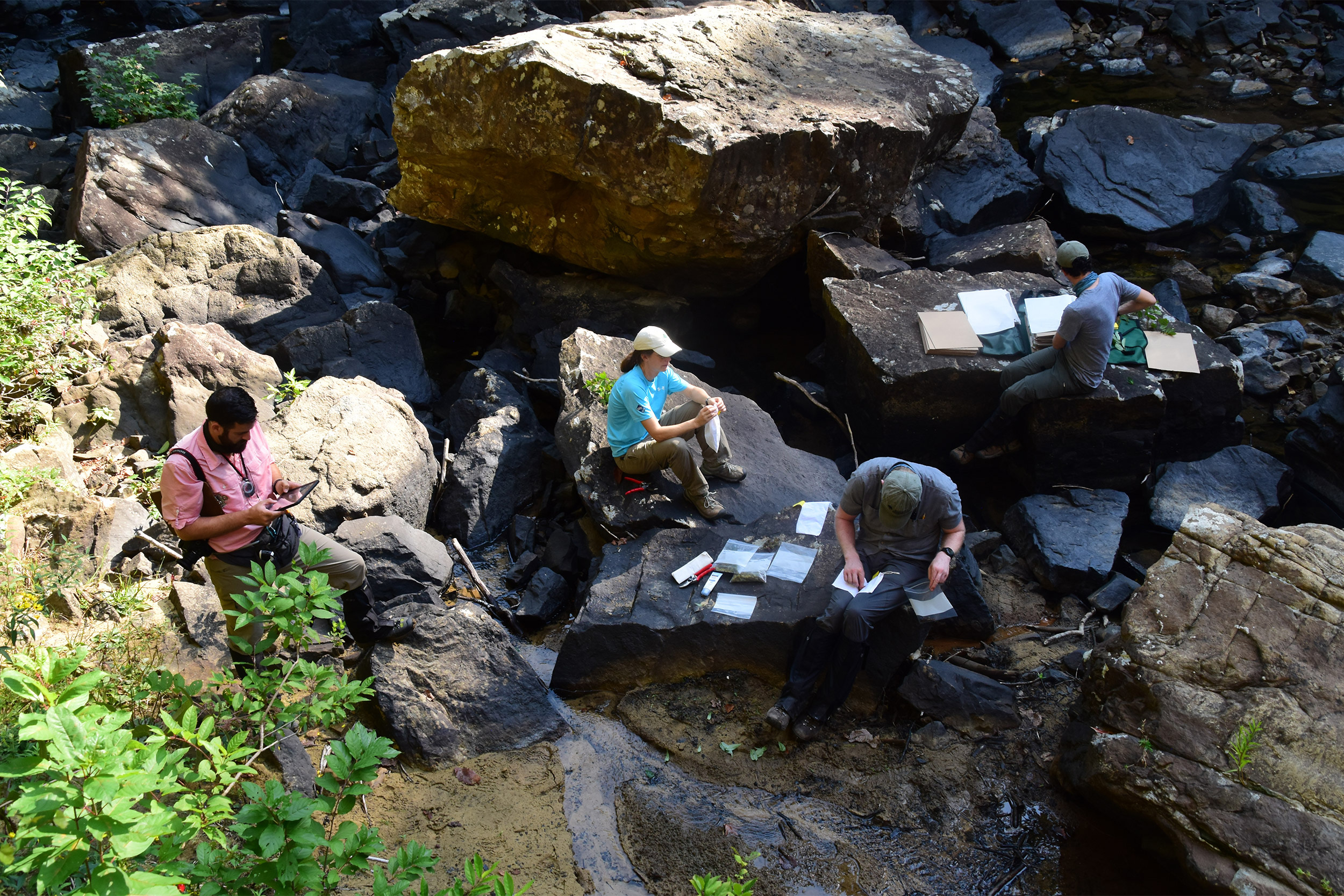 Researchers working on notes.