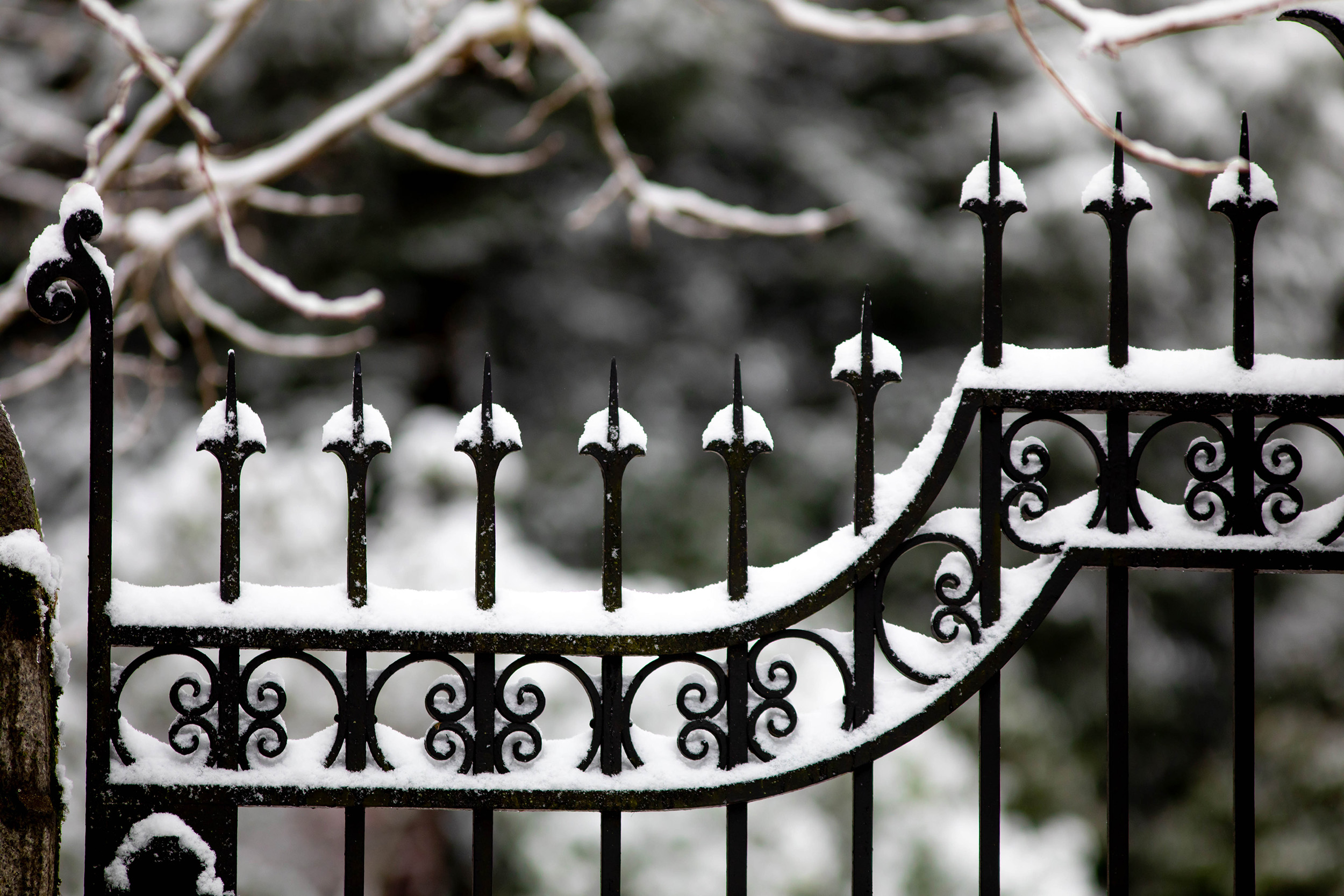 Snow blankets the Washington Street Gate.