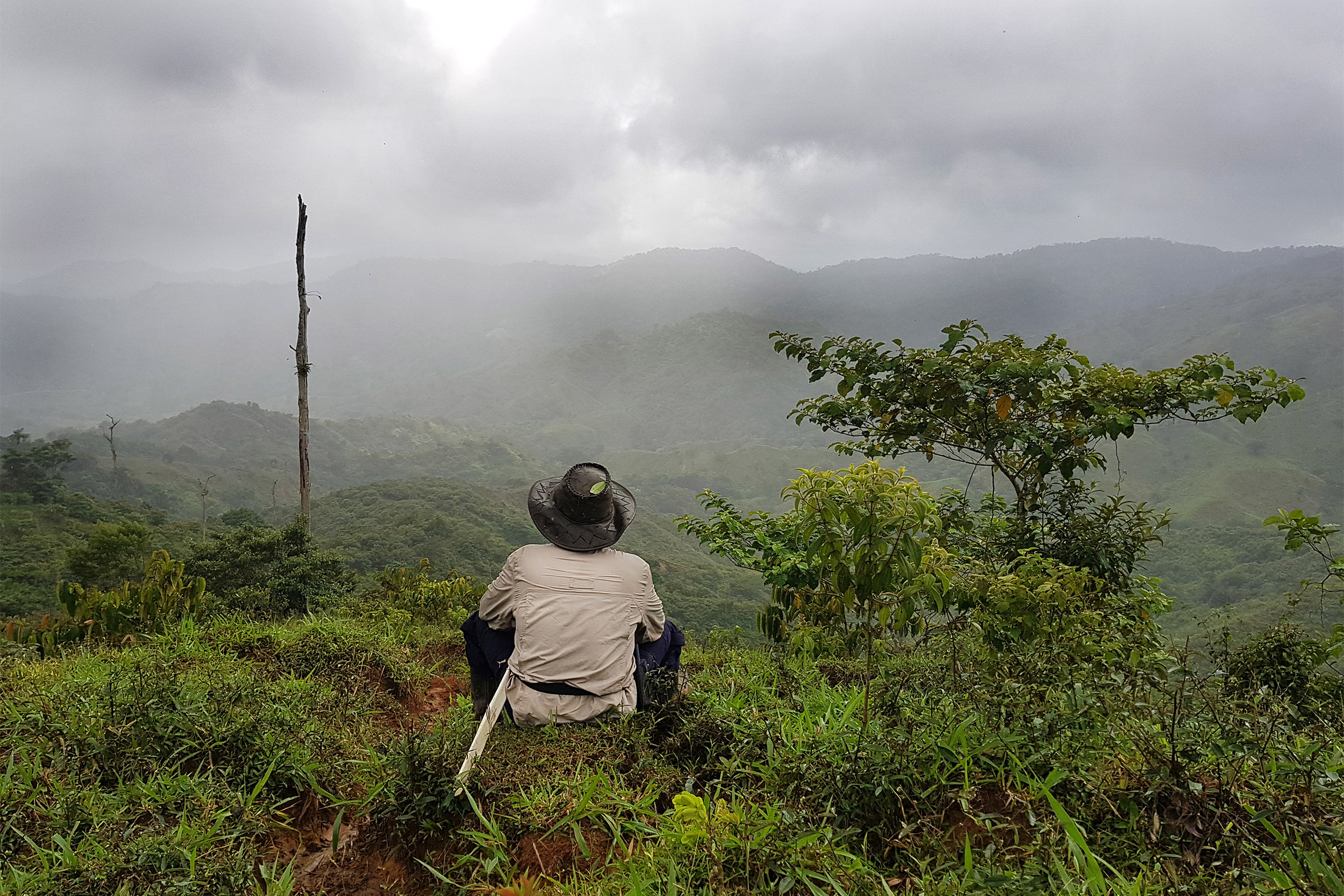 Man sitting looking at mountains.