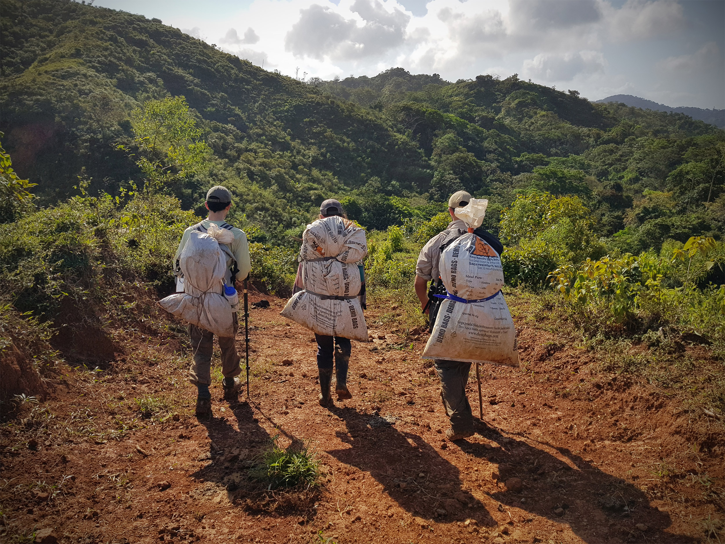 Men walking with collection bags.