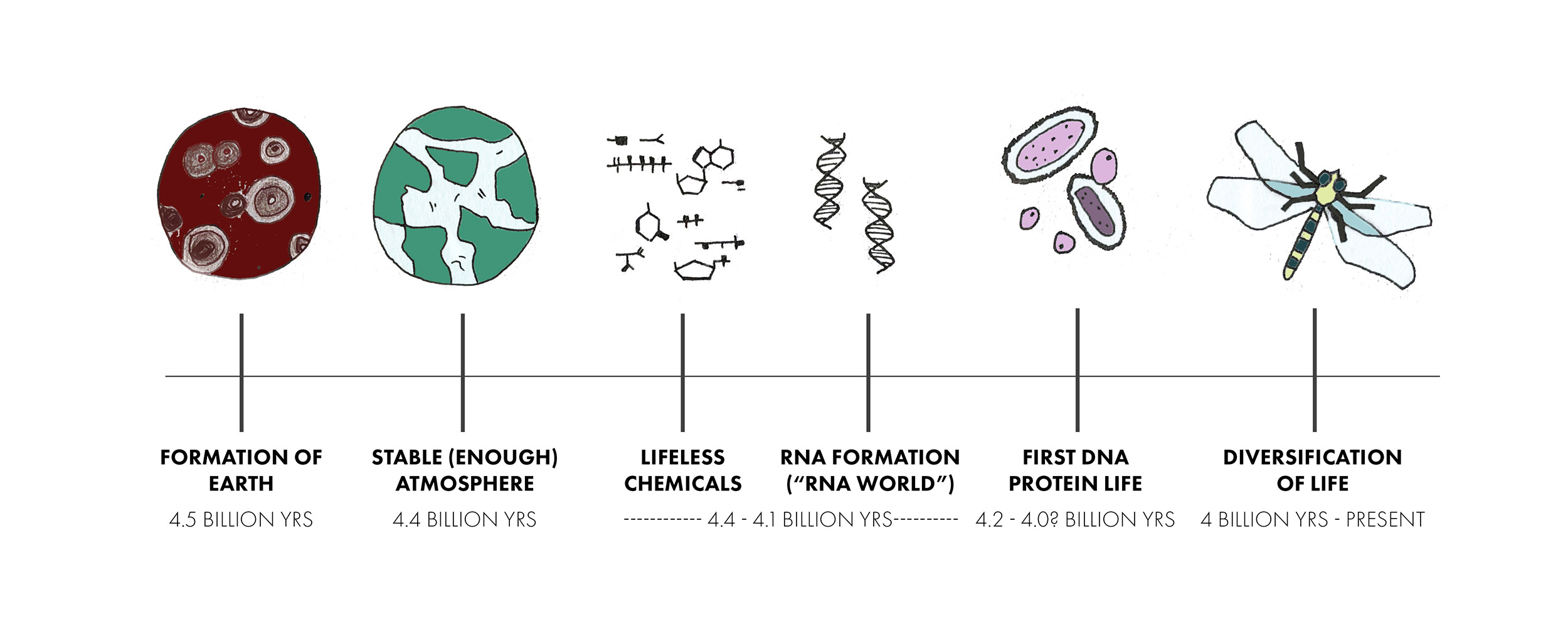 A sketched timeline of the origins of life on the planet.