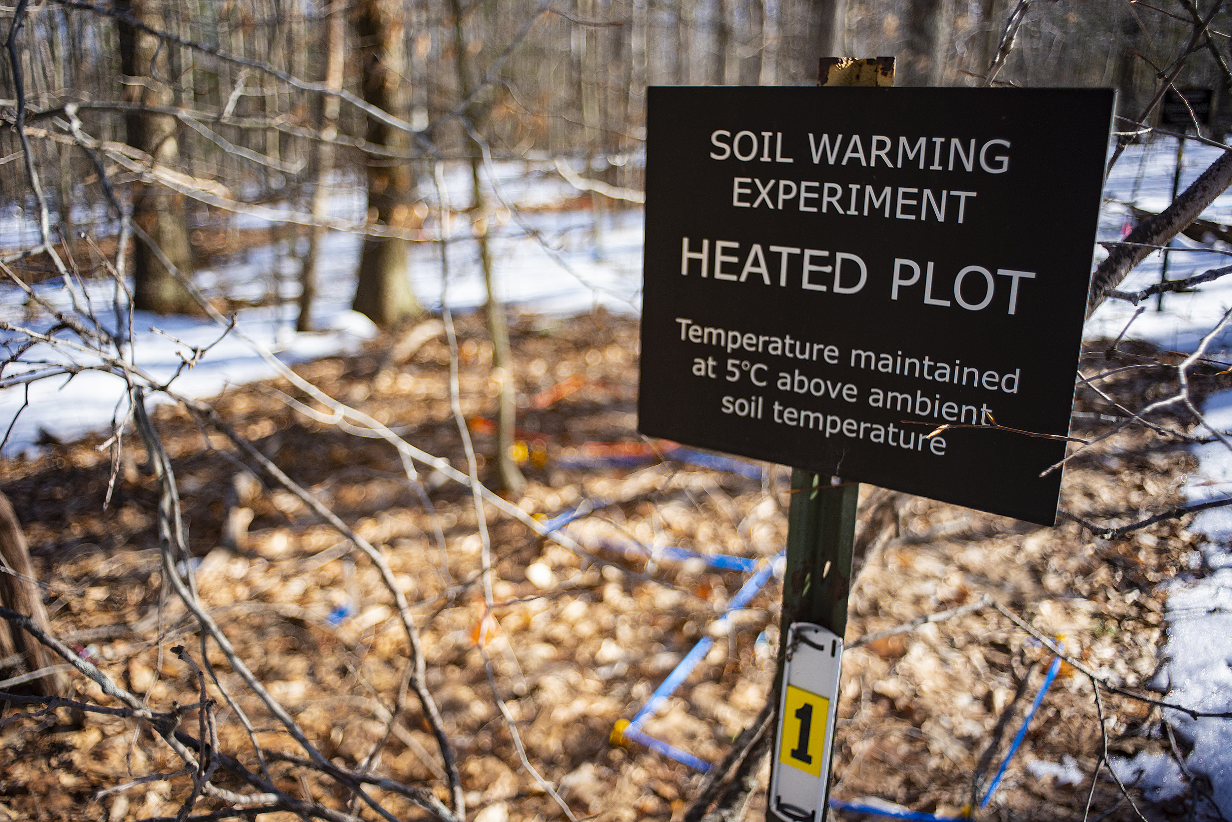 Experiment sign in Harvard Forest.