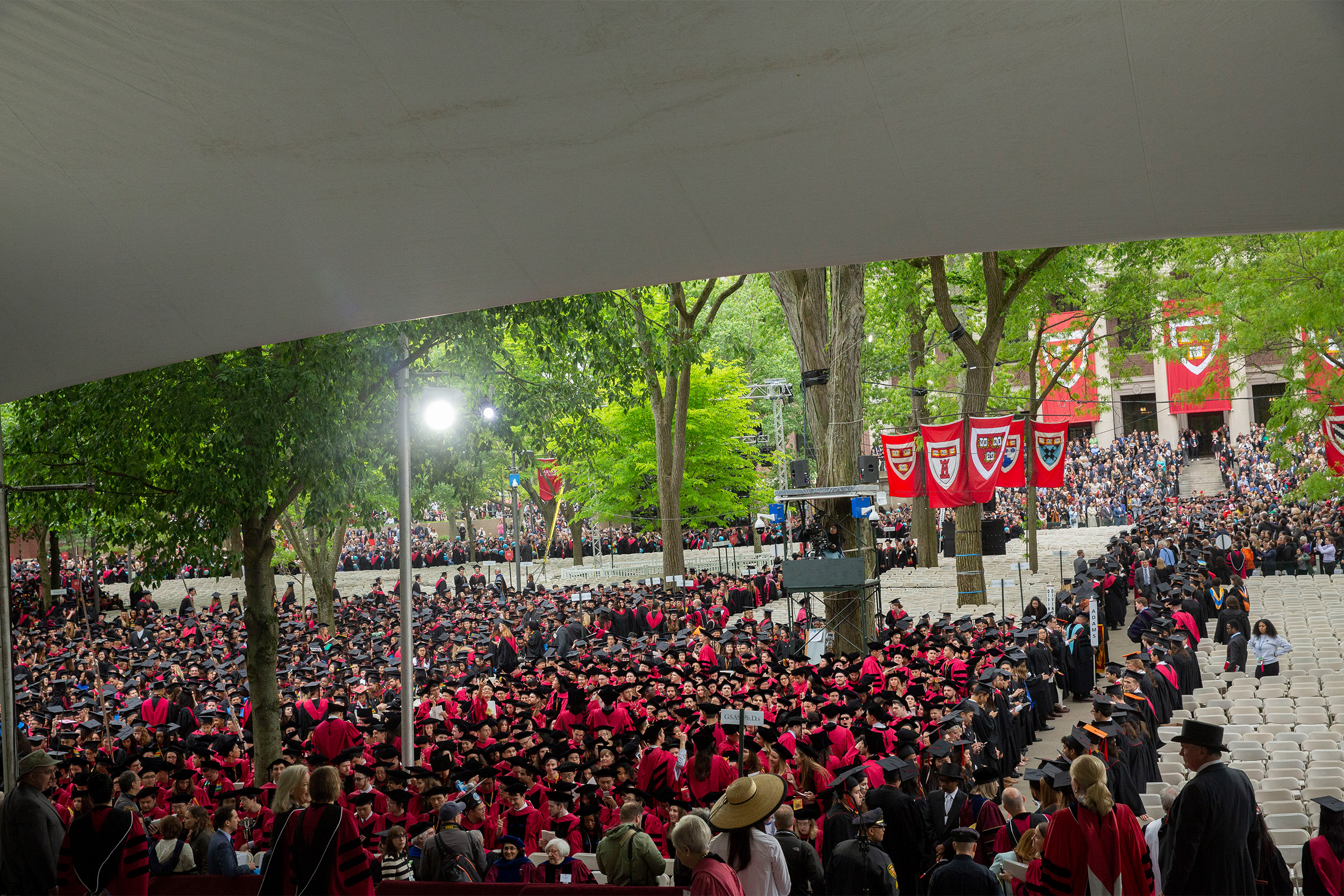 Commencement crowd in Harvard Yard 2019.