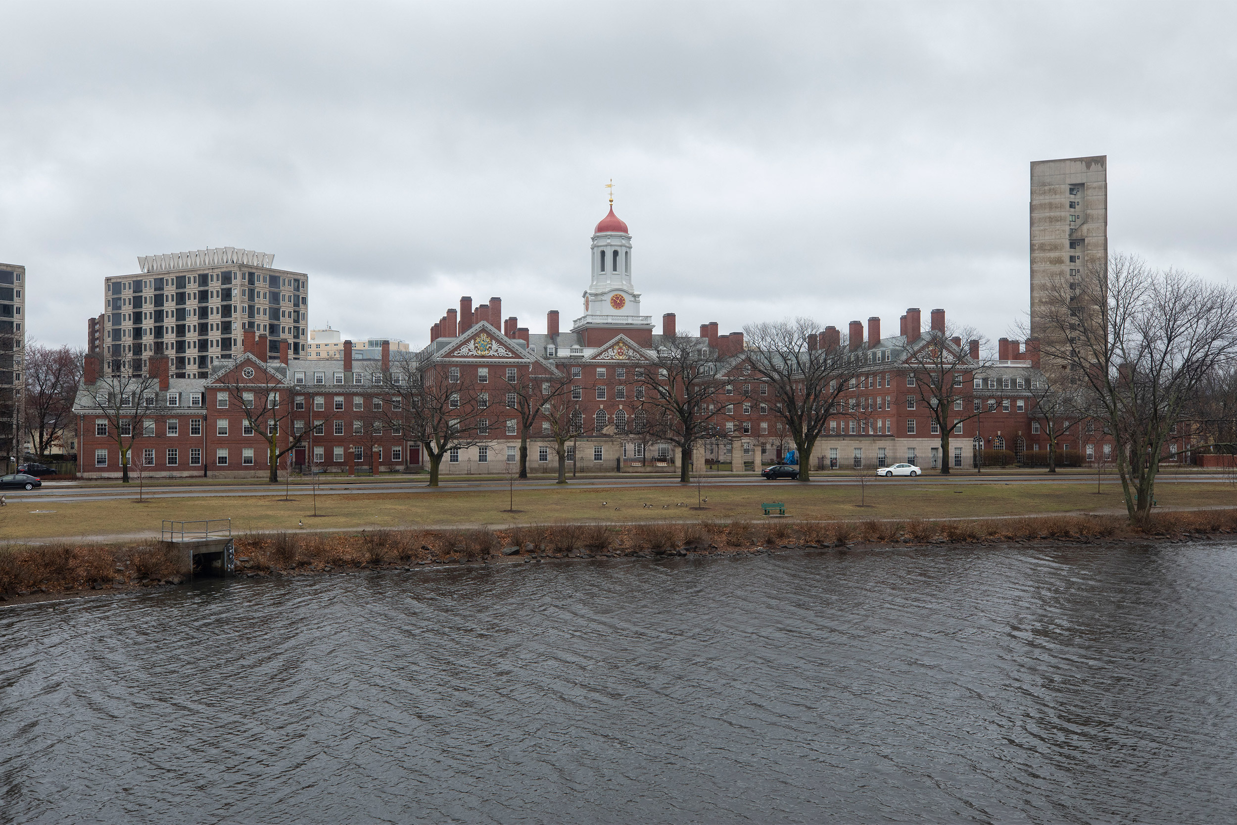 Harvard University