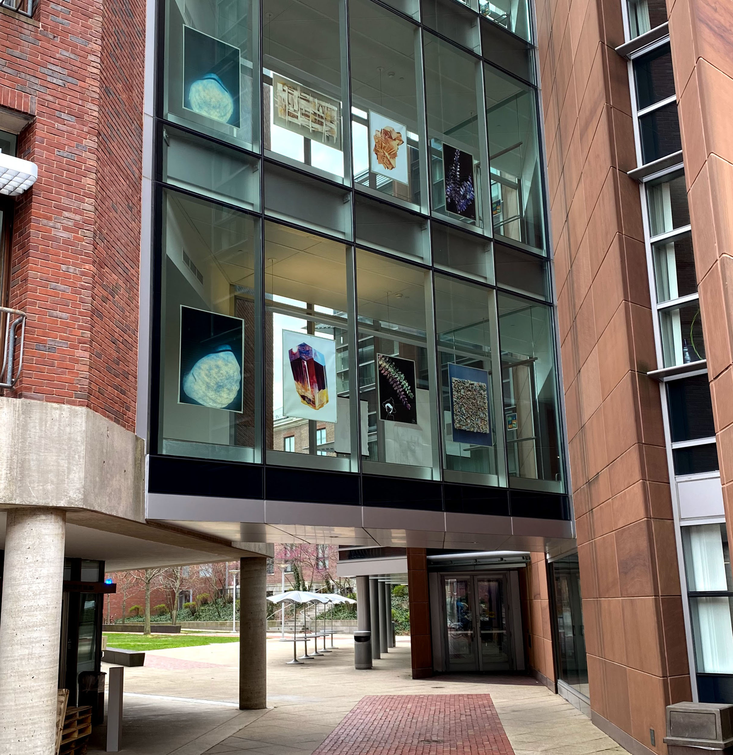 Artwork in the windows of Harvard buildings.