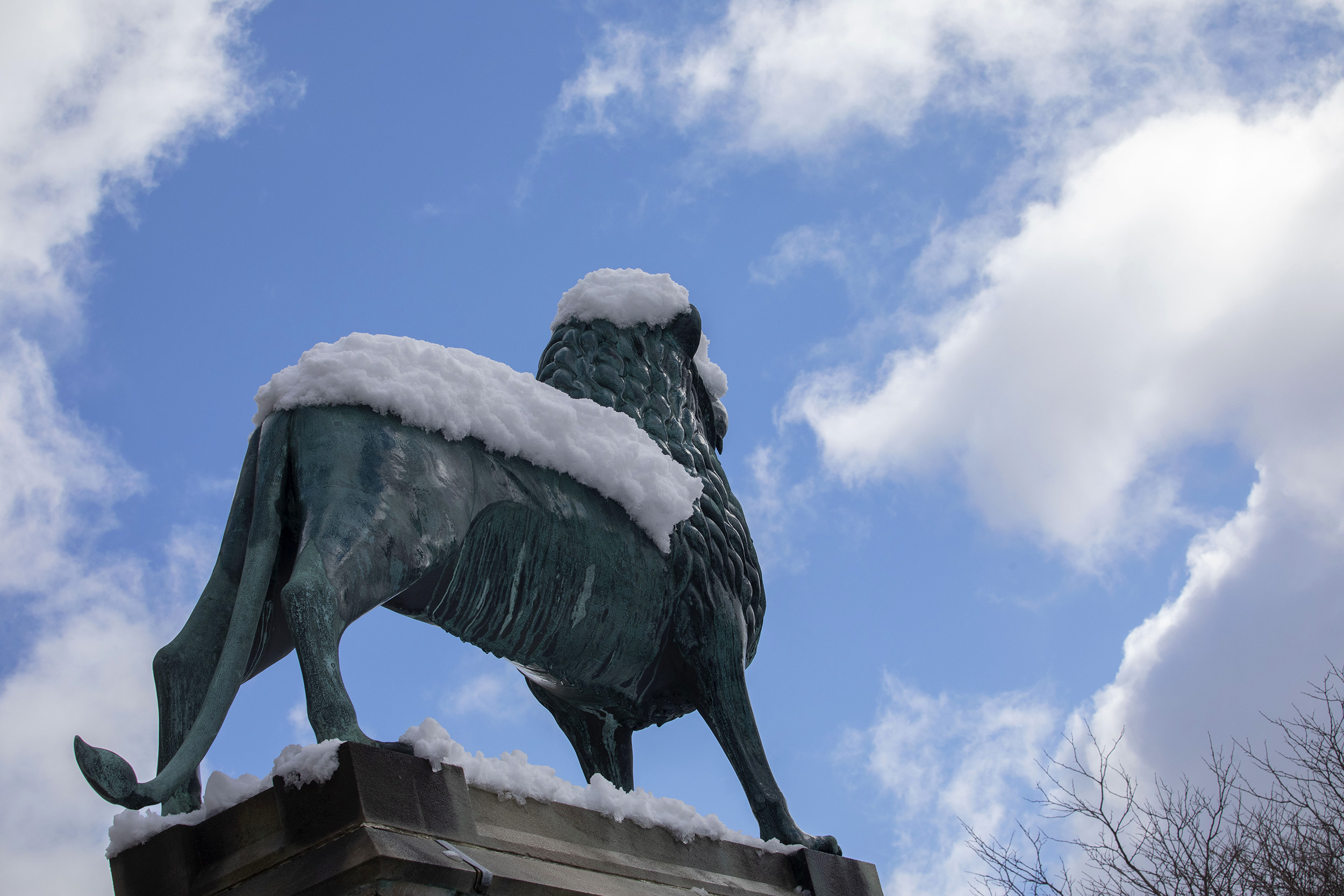 A snow coated reproduction of a lion, erected in the 12th century in Brunswick by Duke Henry, is displayed at the Minda de Gunzburg Center for European Studies courtyard.