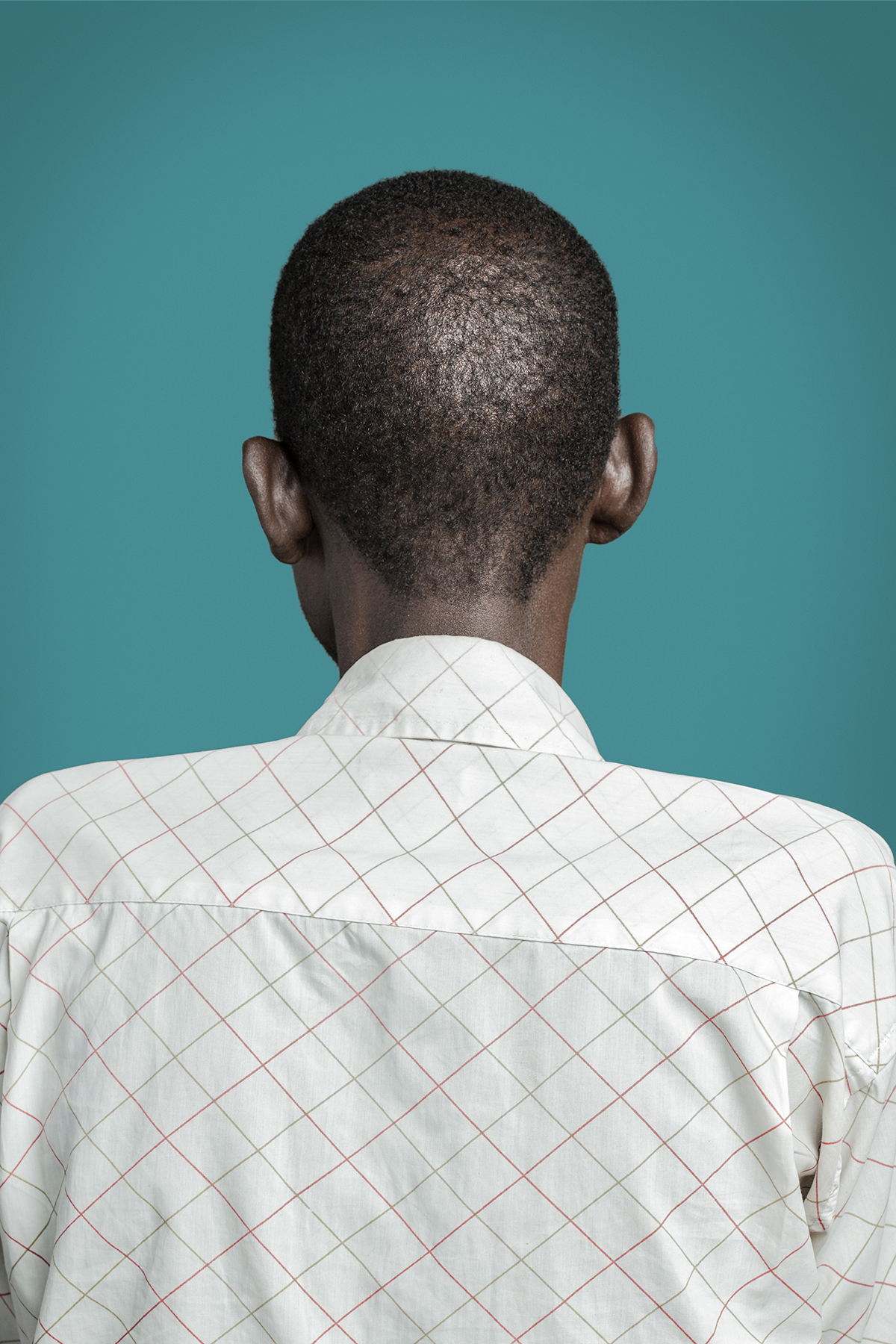 Portrait of back of man's head.