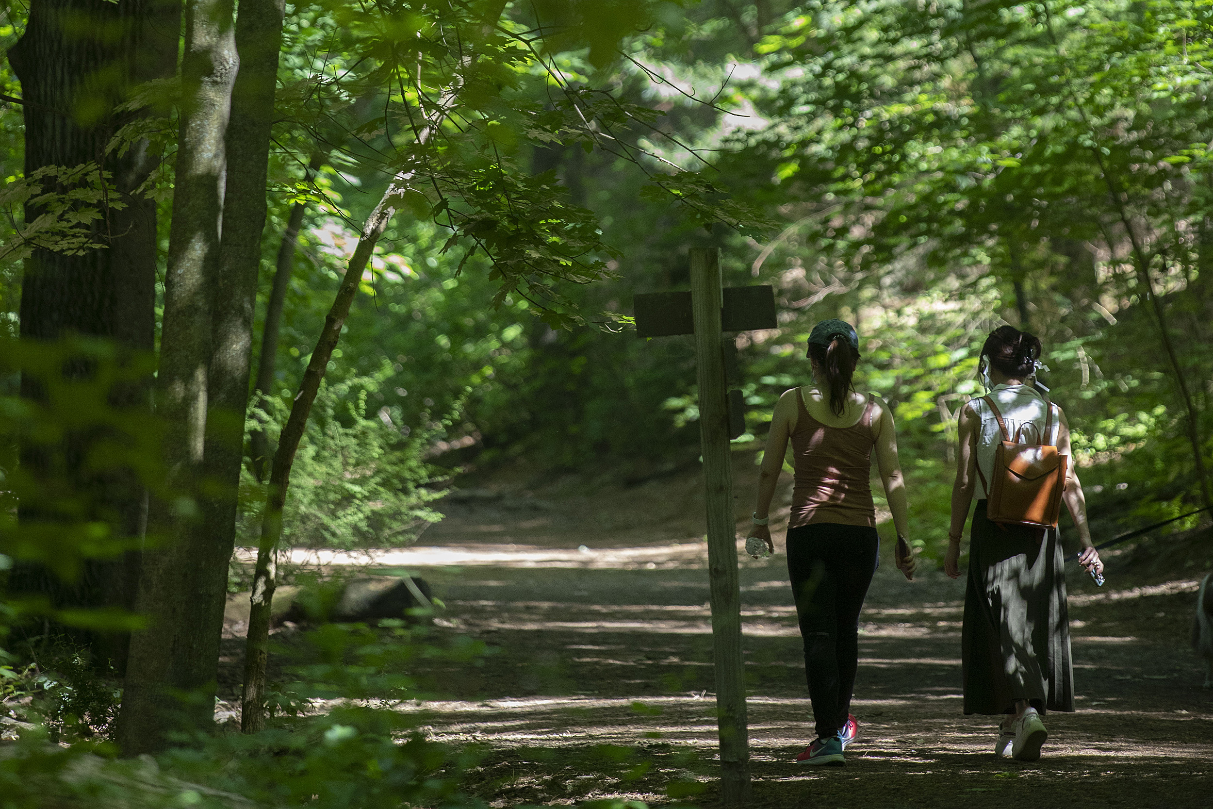 People walking in the forest.