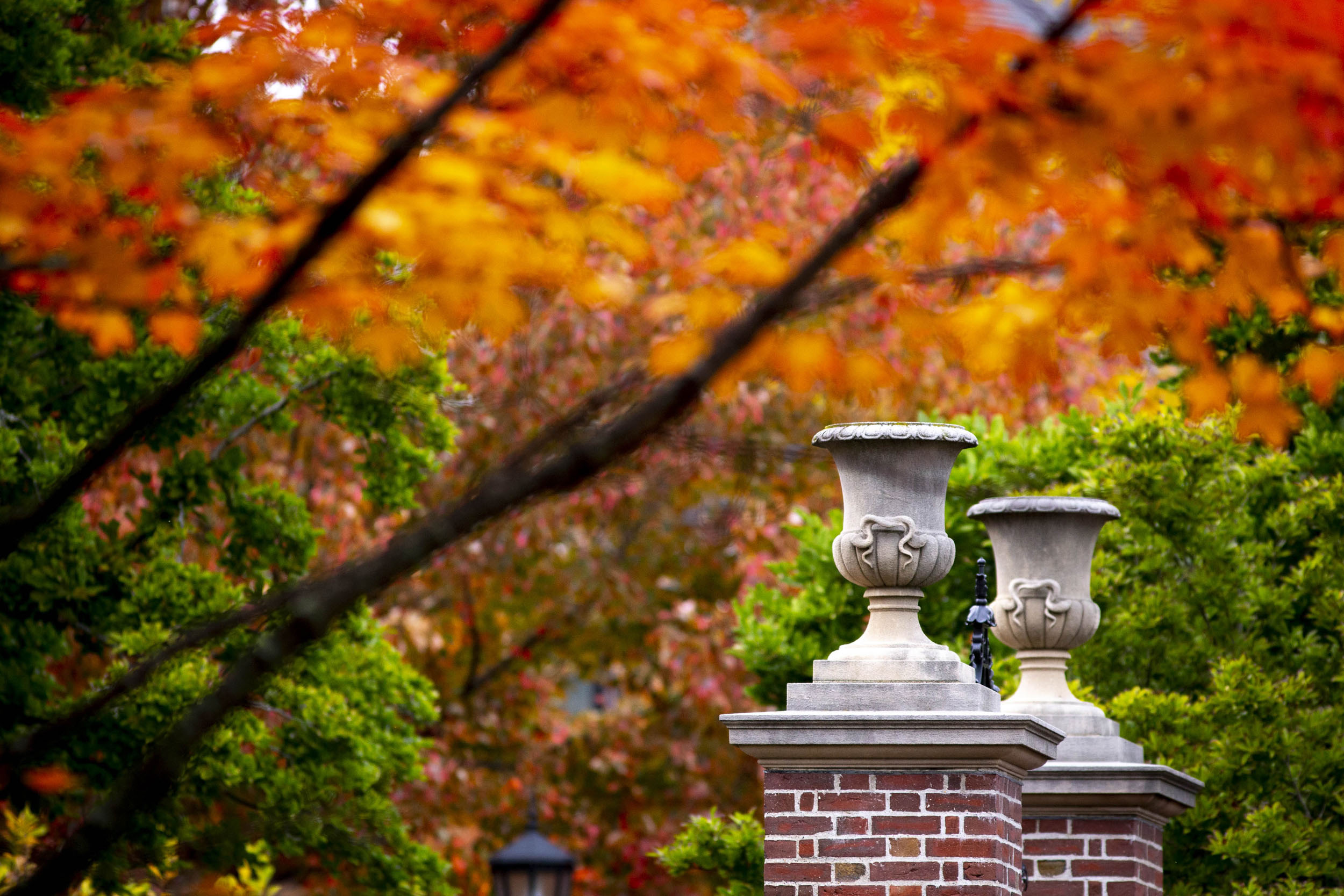 View of fall foliage at Radcliffe Yard.