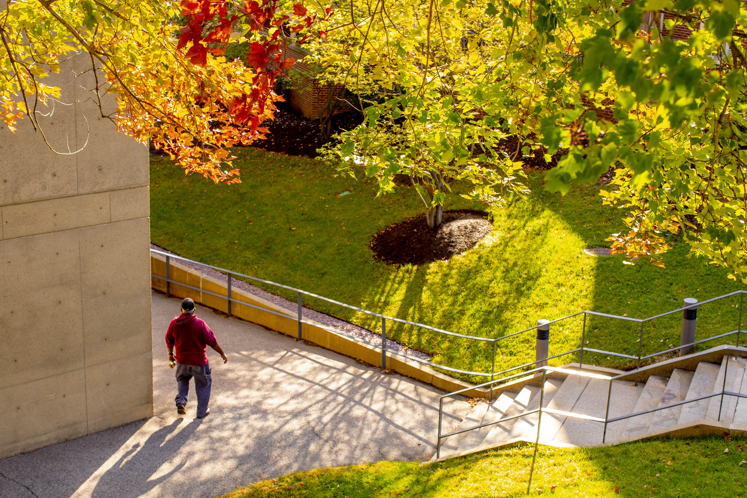 Stairs that descend to the Carpenter Center.