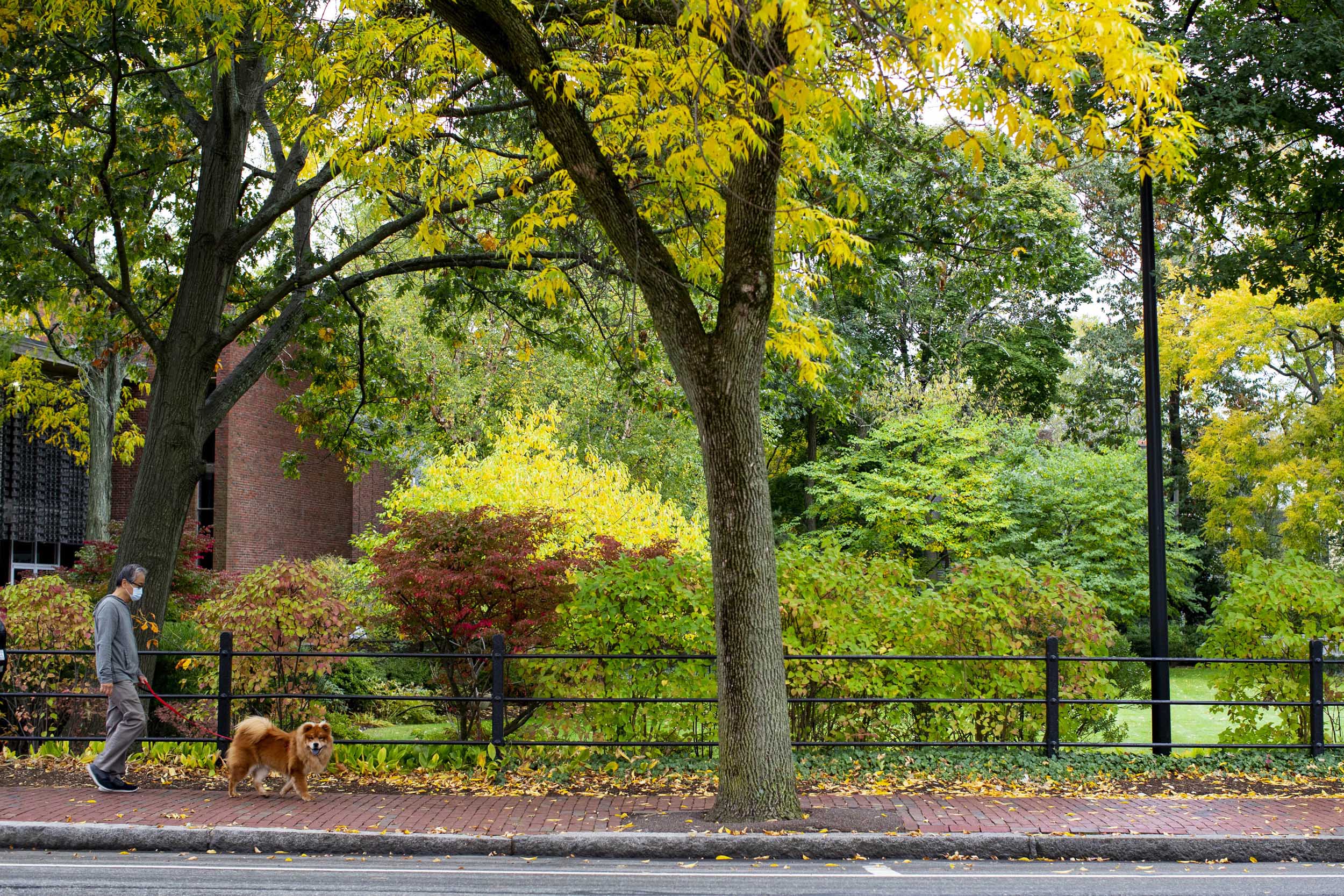 Man walking dog.