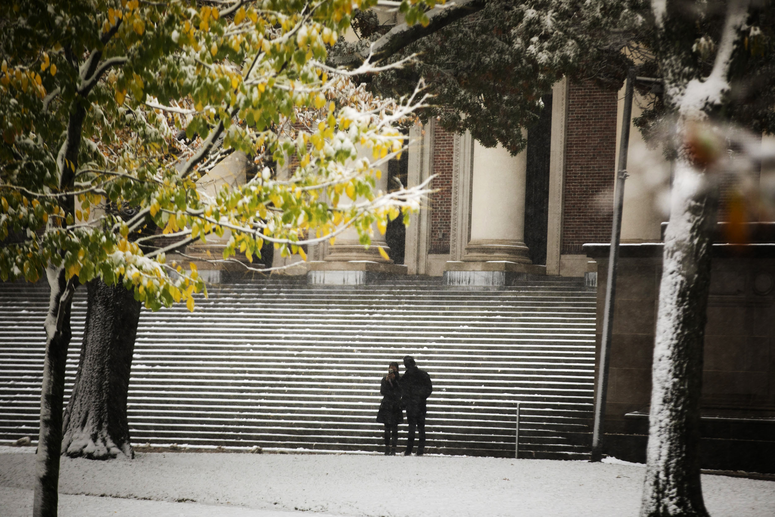 Steps with snow.