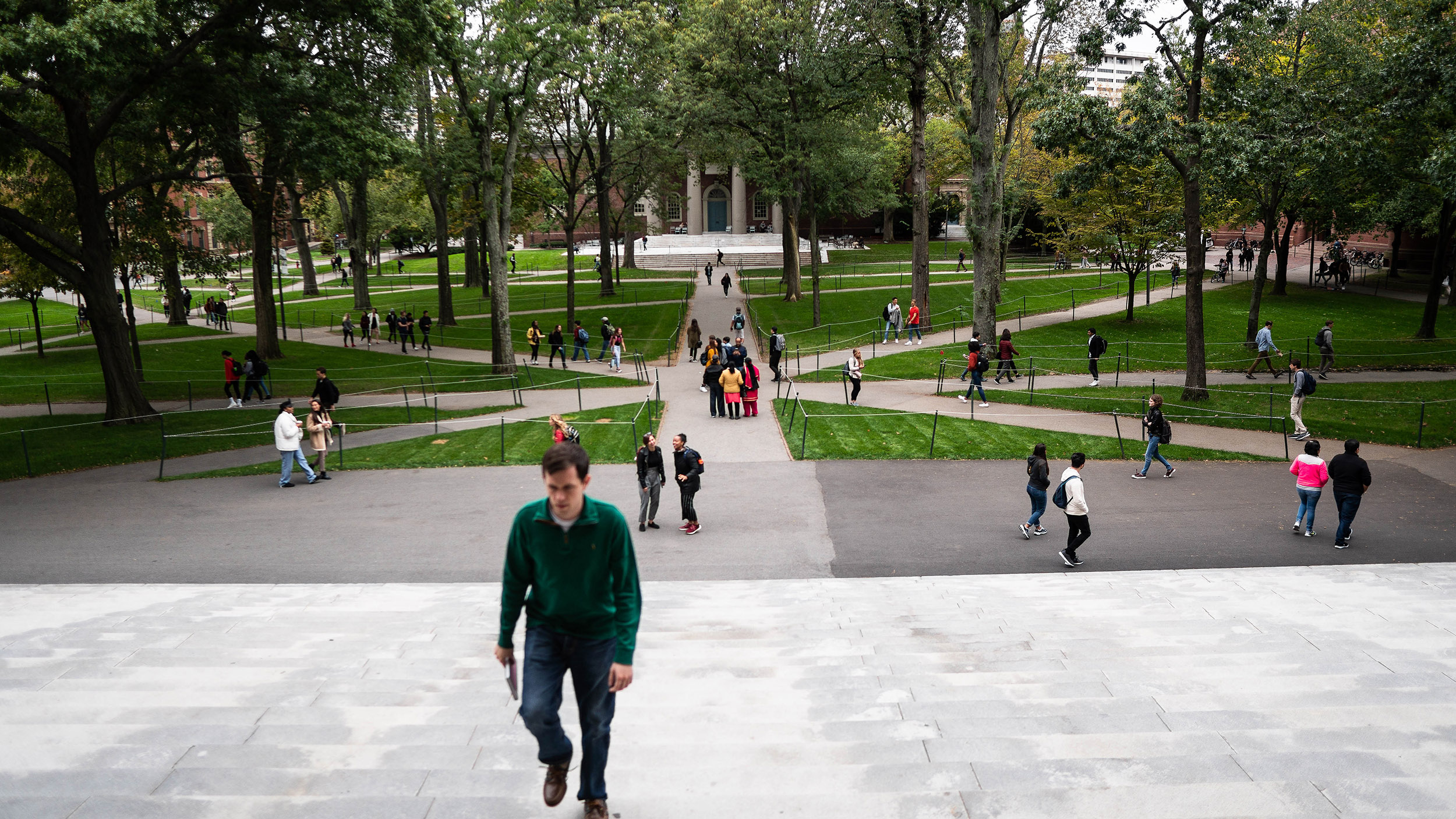 Harvard Yard.