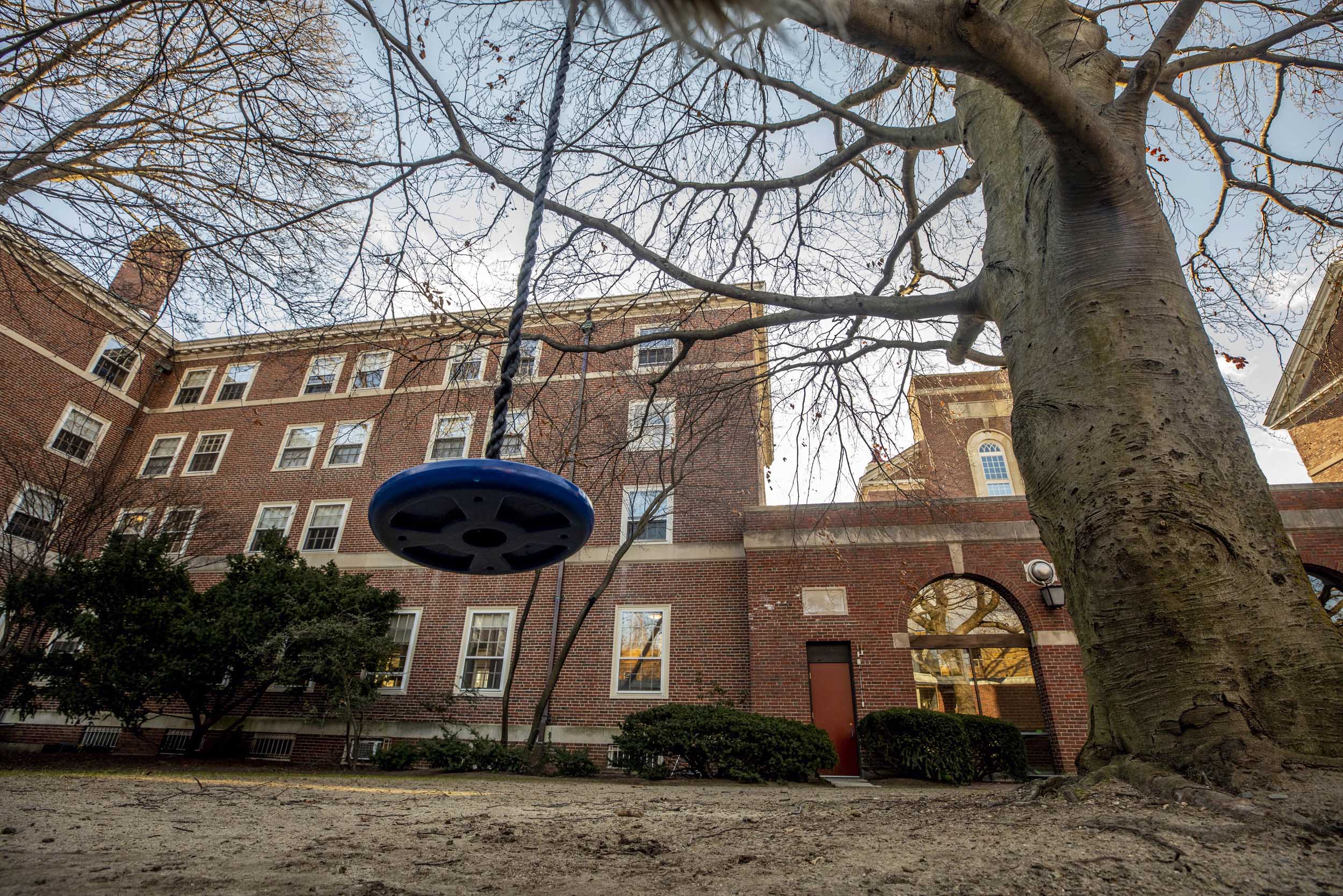 A swing hangs from a tree in the secret garden of Pforzheimer House.