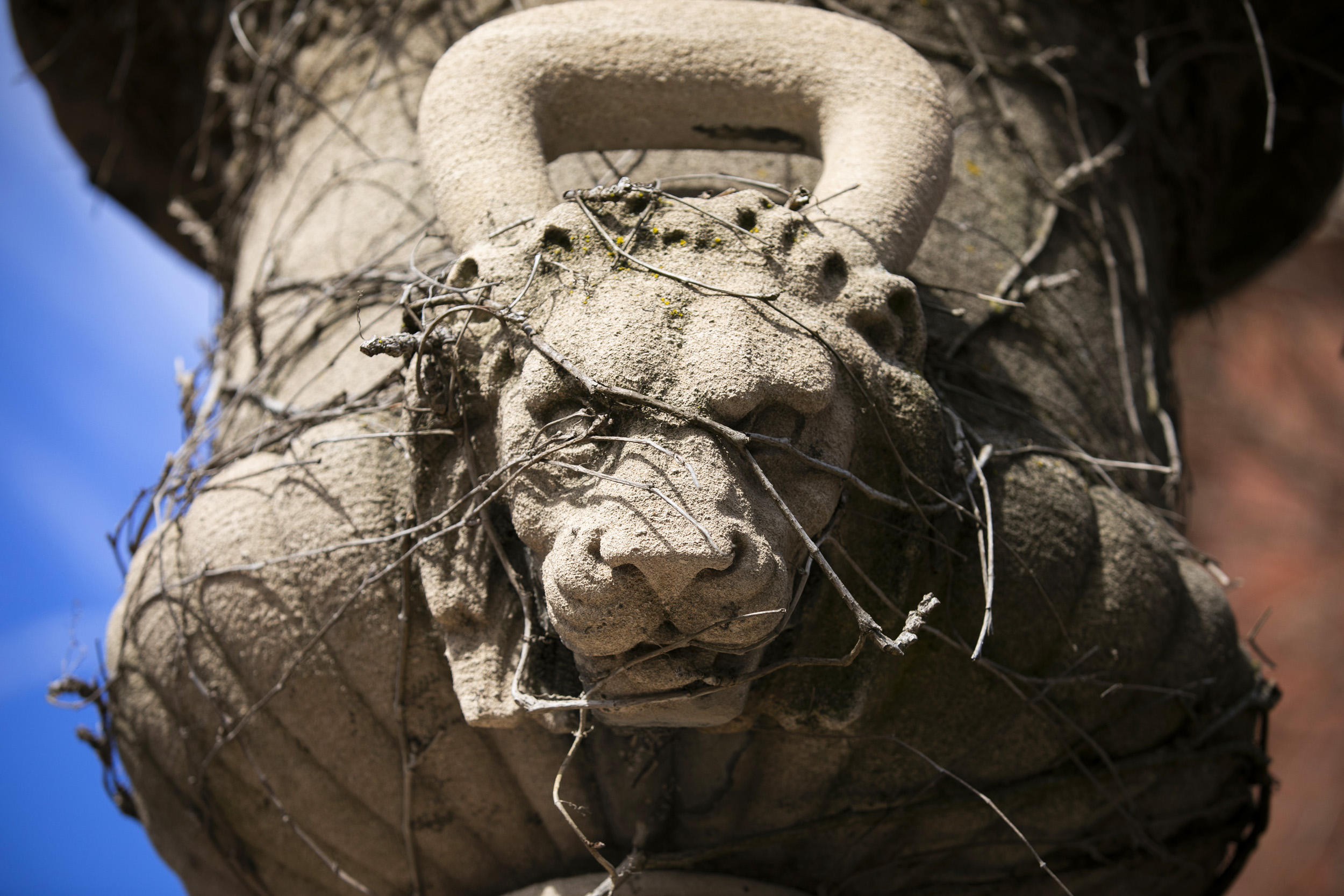 A lion head decorates the gate on Quincy Street.