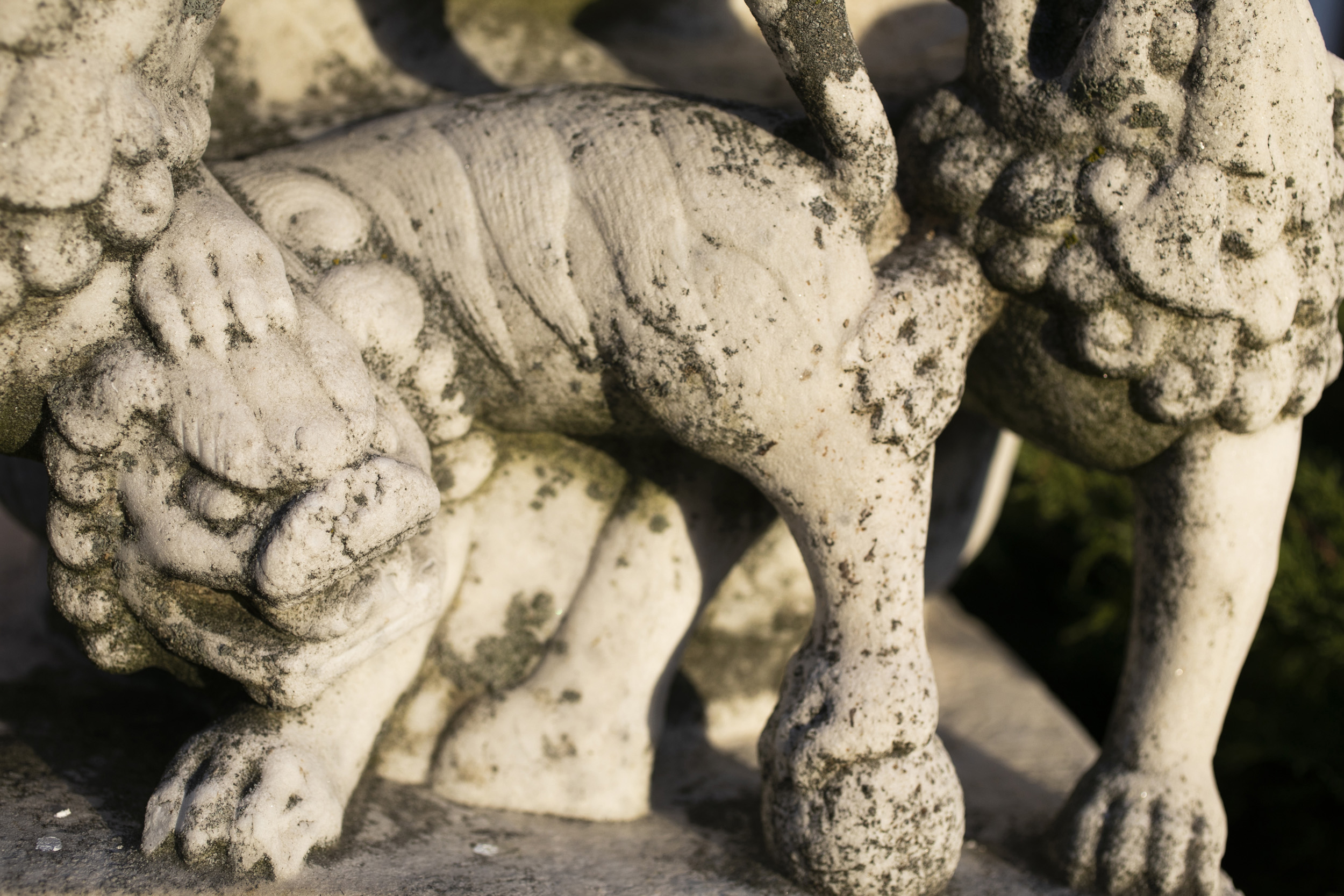 A pair of lions flank the entrance to the Harvard-Yenching Library.