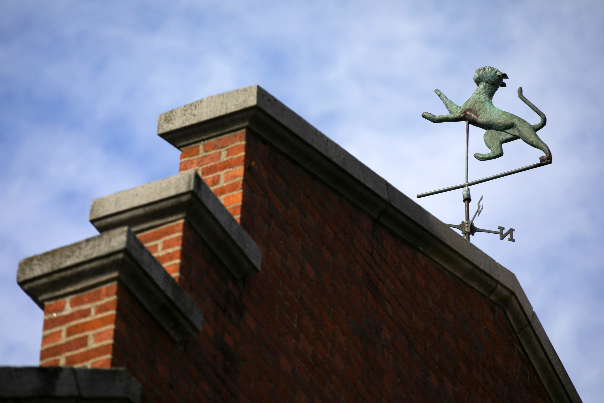 A feline decorates a weather vane.