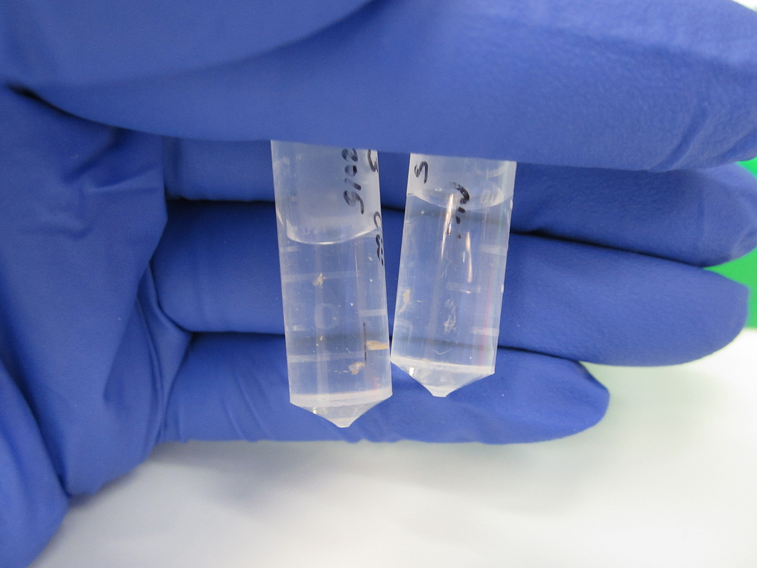 Scientist holding test tubes.