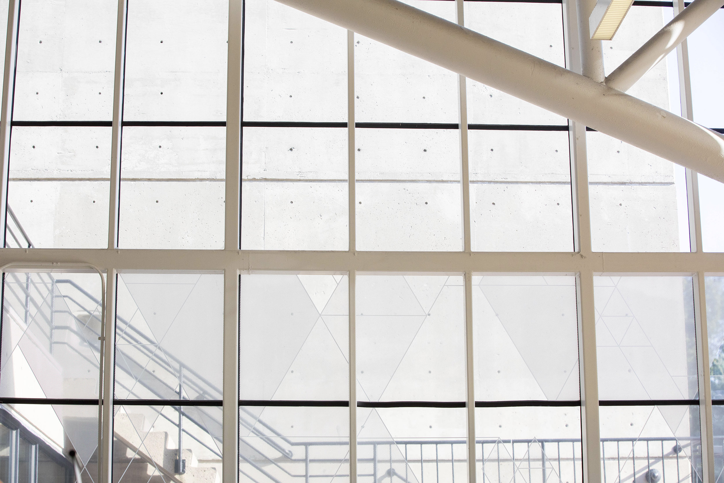 A wall of windows at the Graduate School of Design.