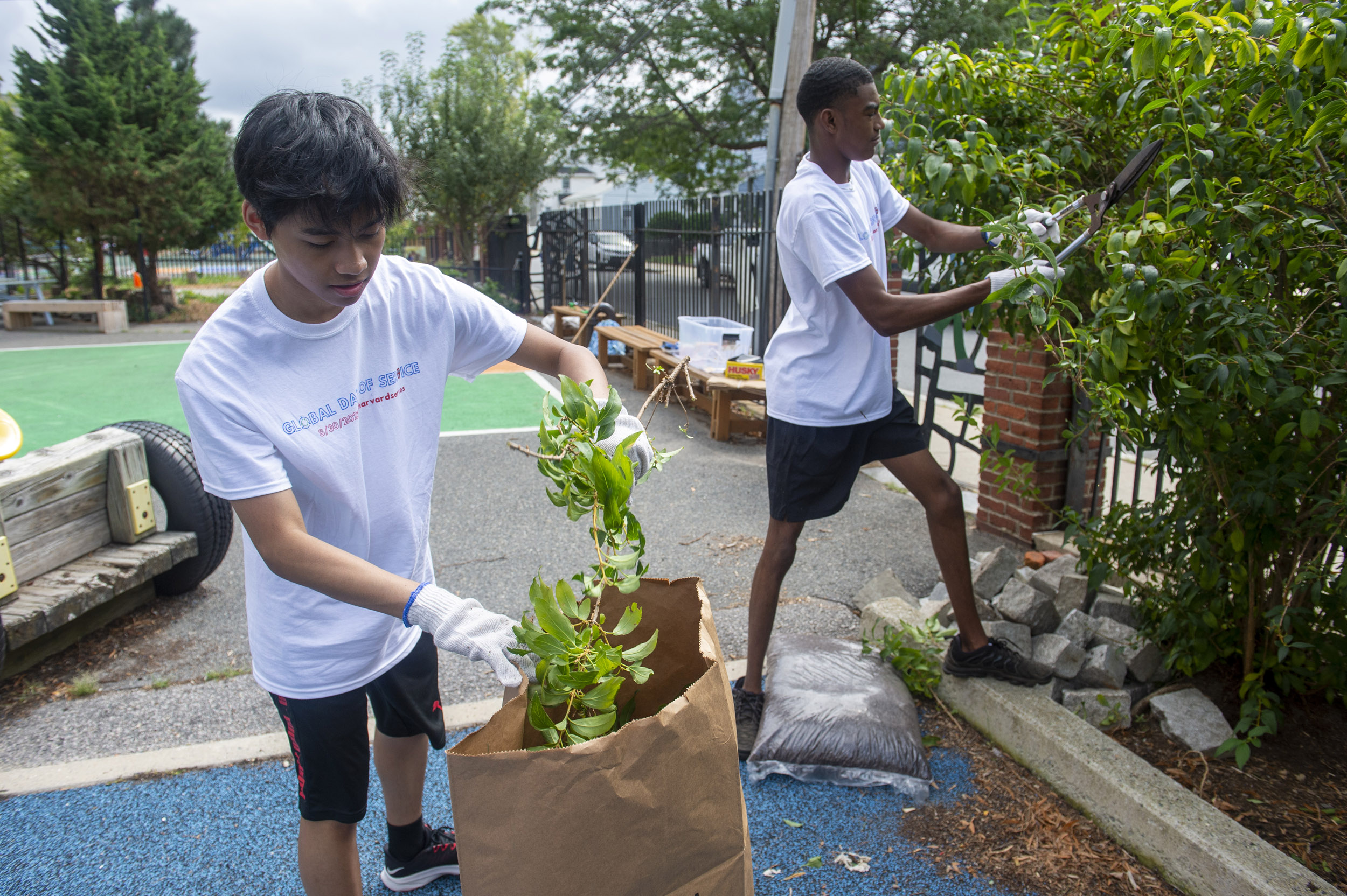 Students gardening.