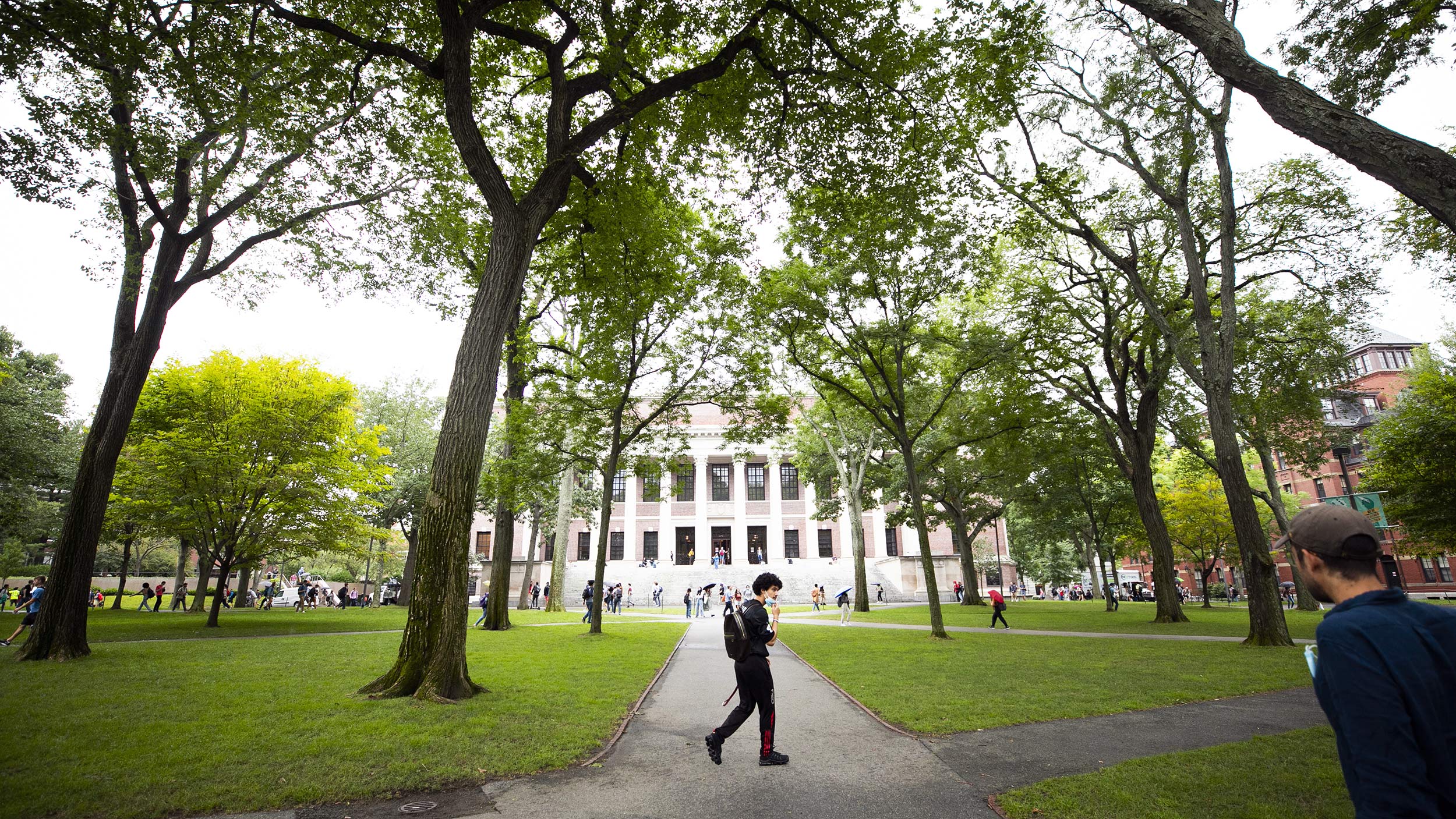 A student walks past Widener Library.