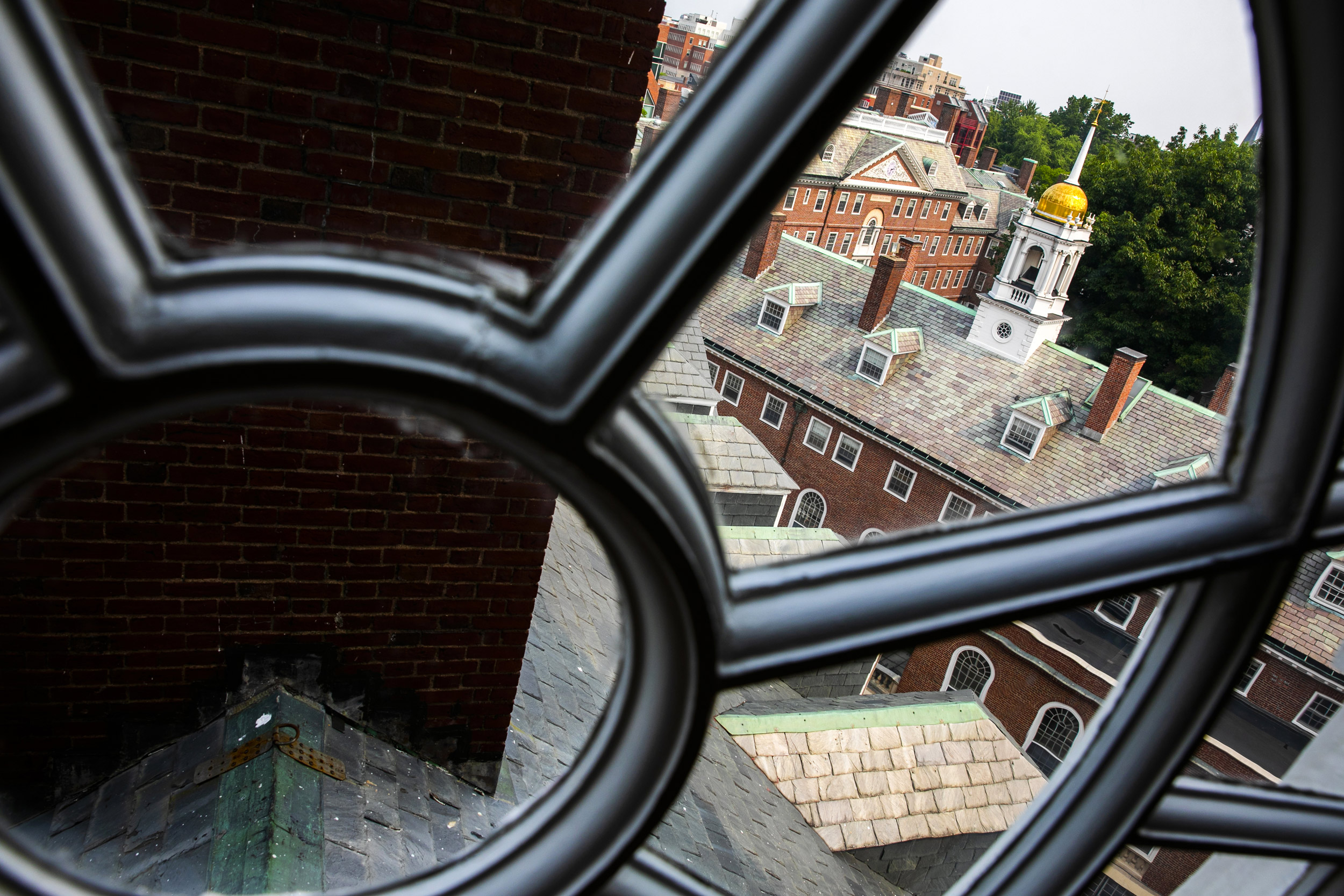 The gold-crested tower of Kirkland House is framed from above.