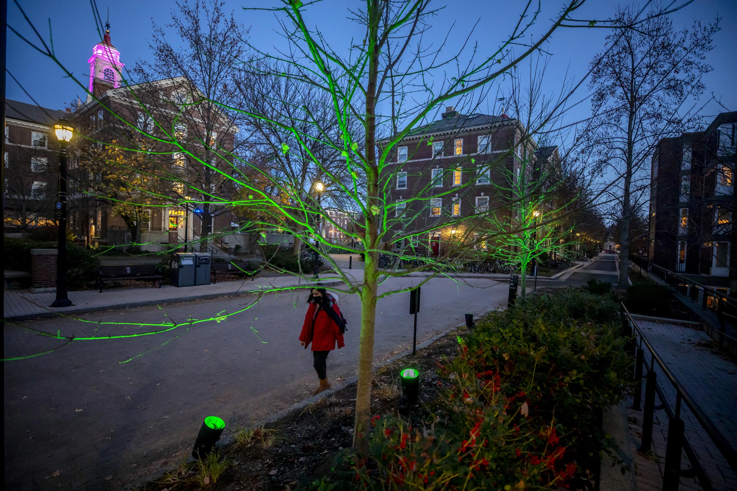 The tower of Pforzheimer House, Radcliffe Quadrangle, is aglow.