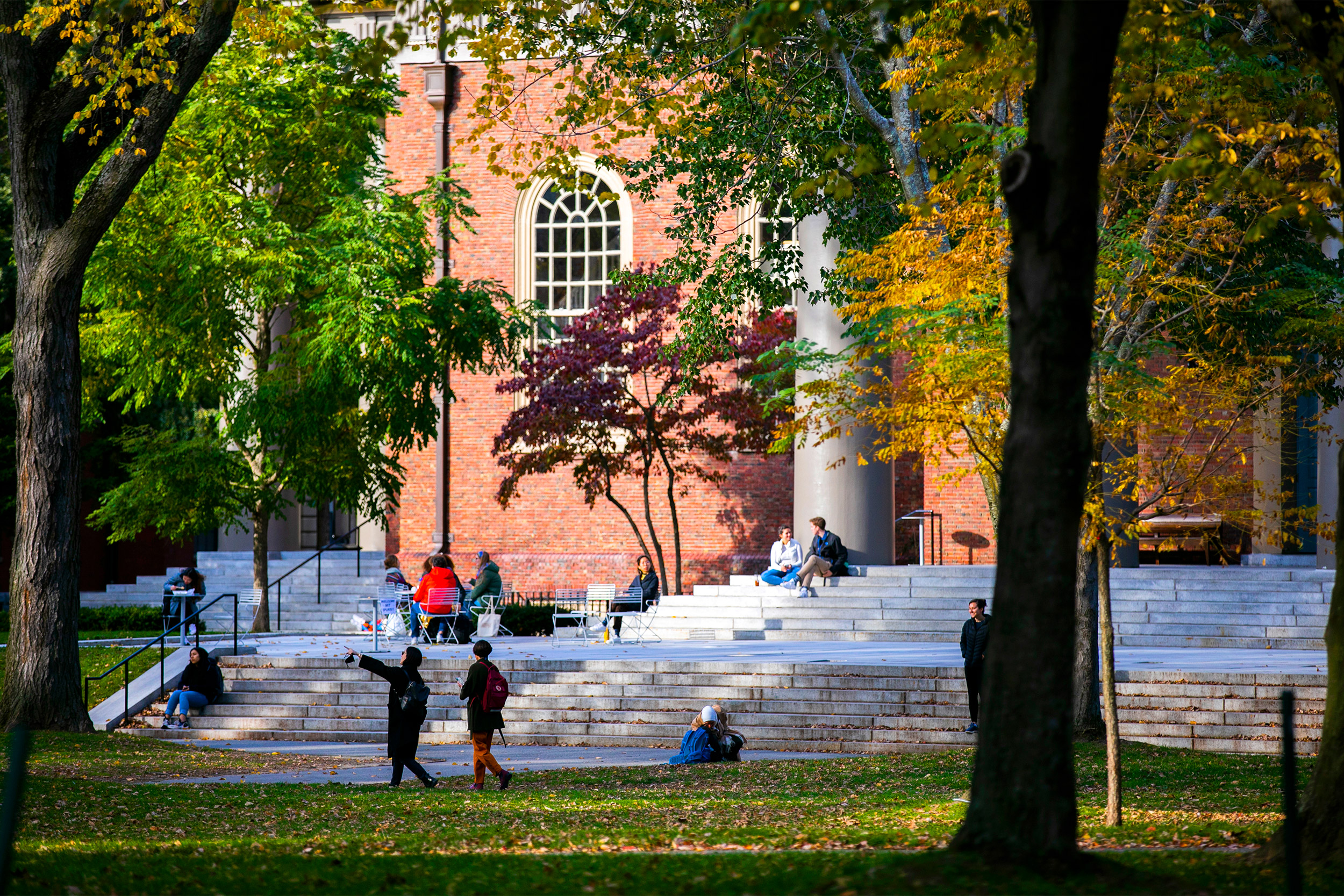 Harvard Yard.