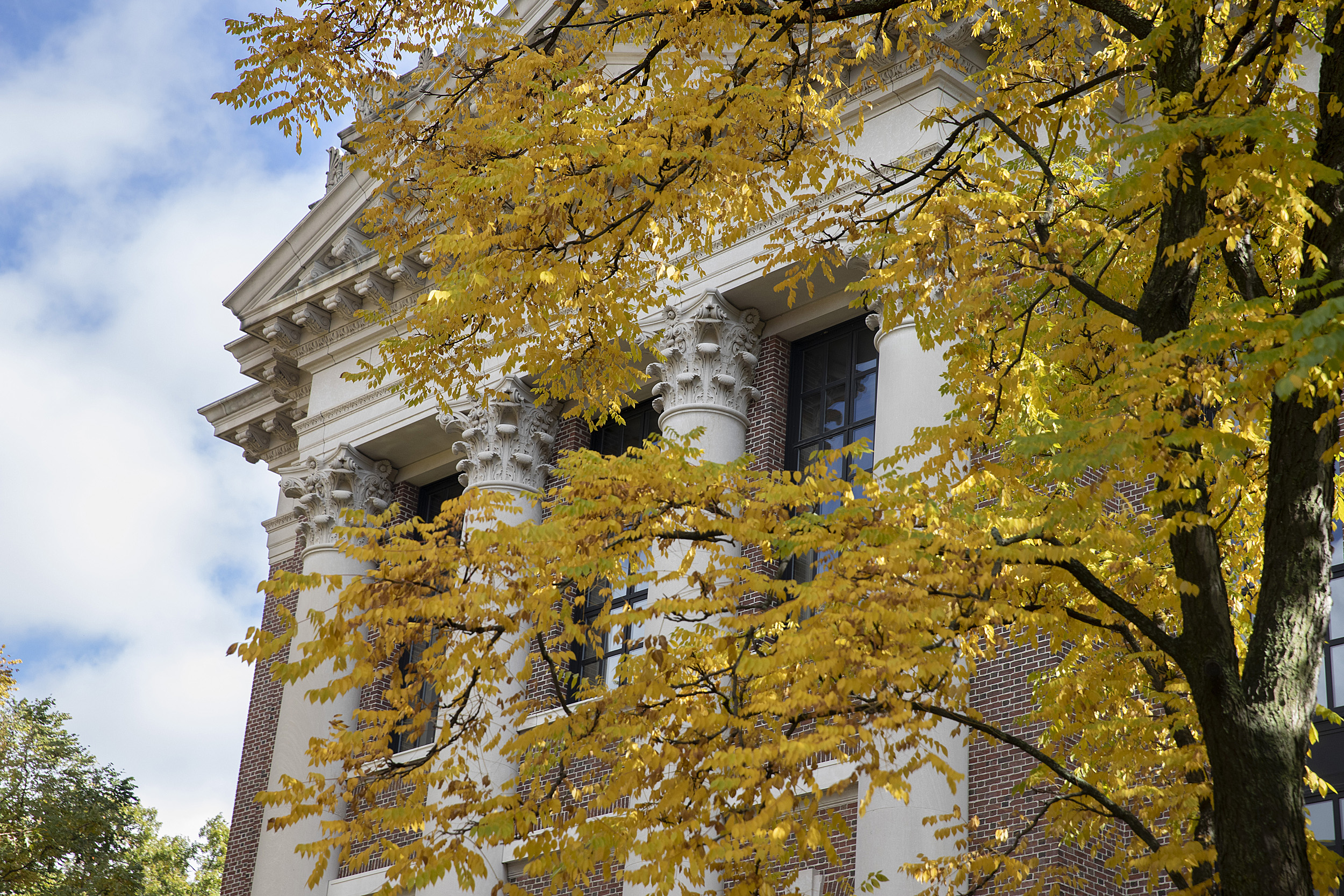 Widener library.