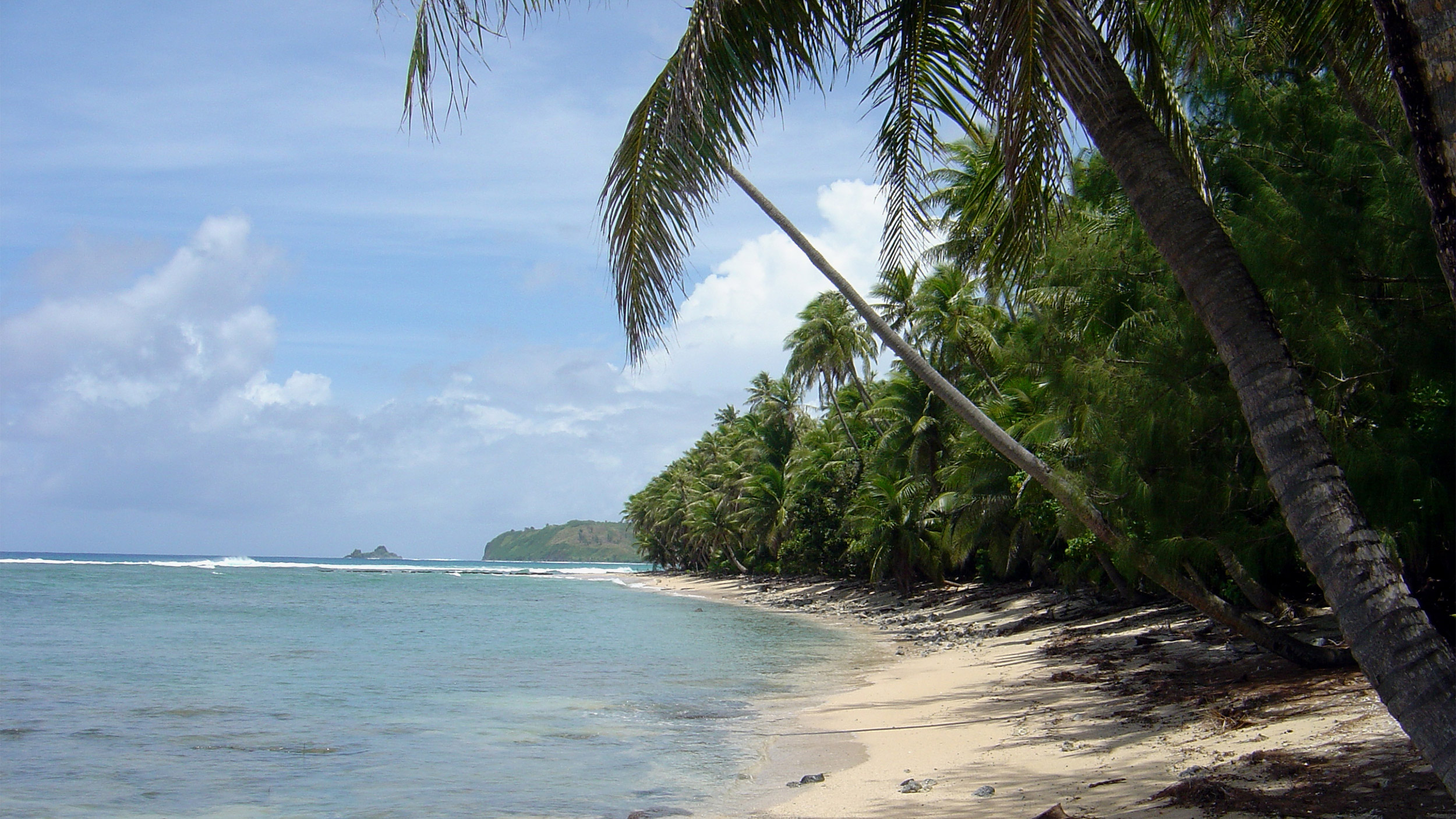 A palm-lined jungle coastline on Guam.